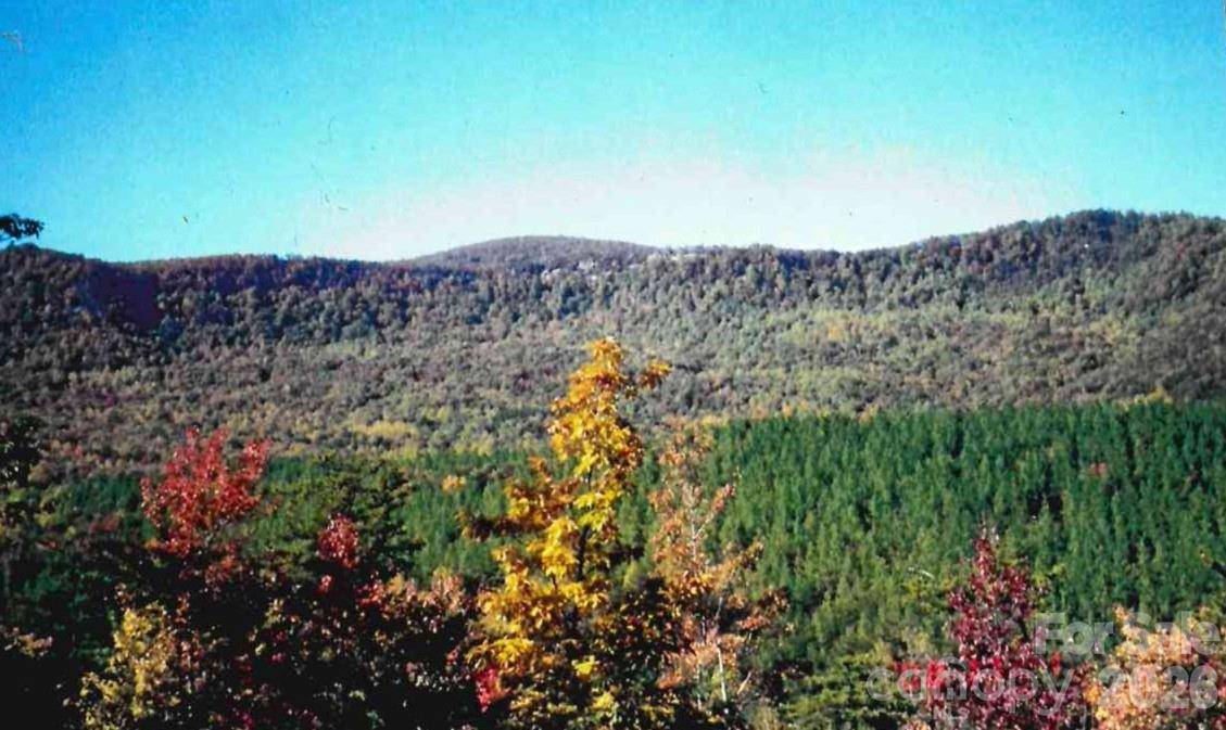 000 Froggyville LN, Mill Spring, NC 28756