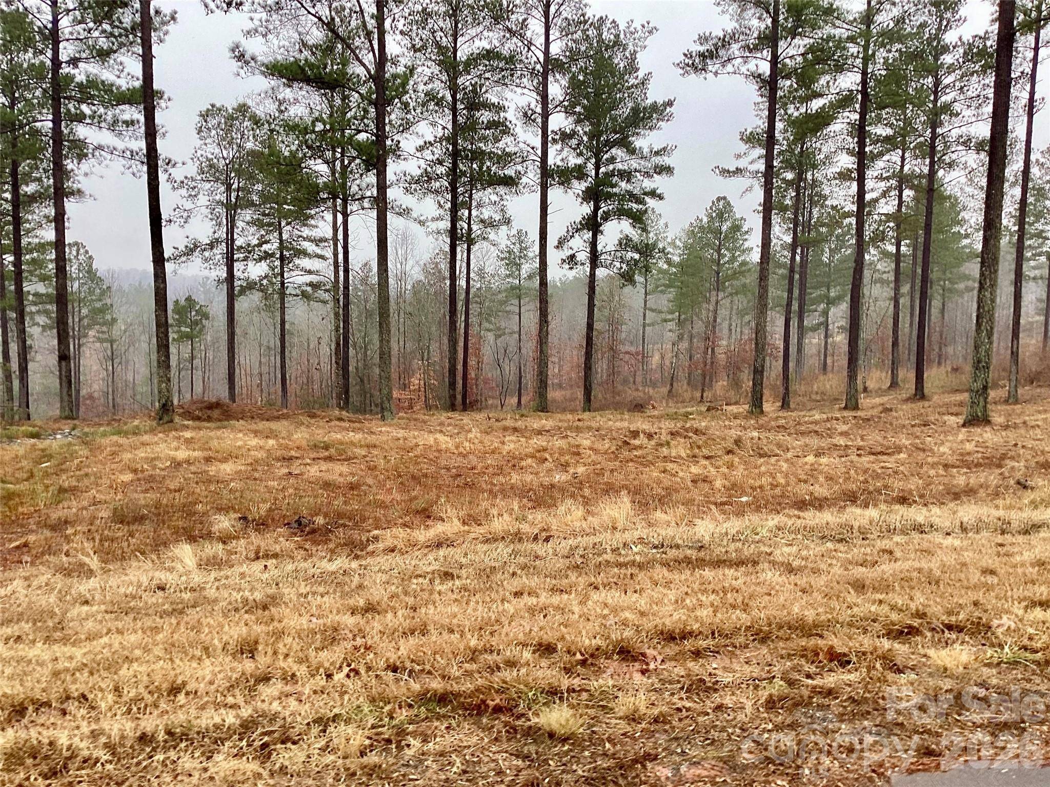 1838 Jumping RUN #23, Connelly Springs, NC 28612