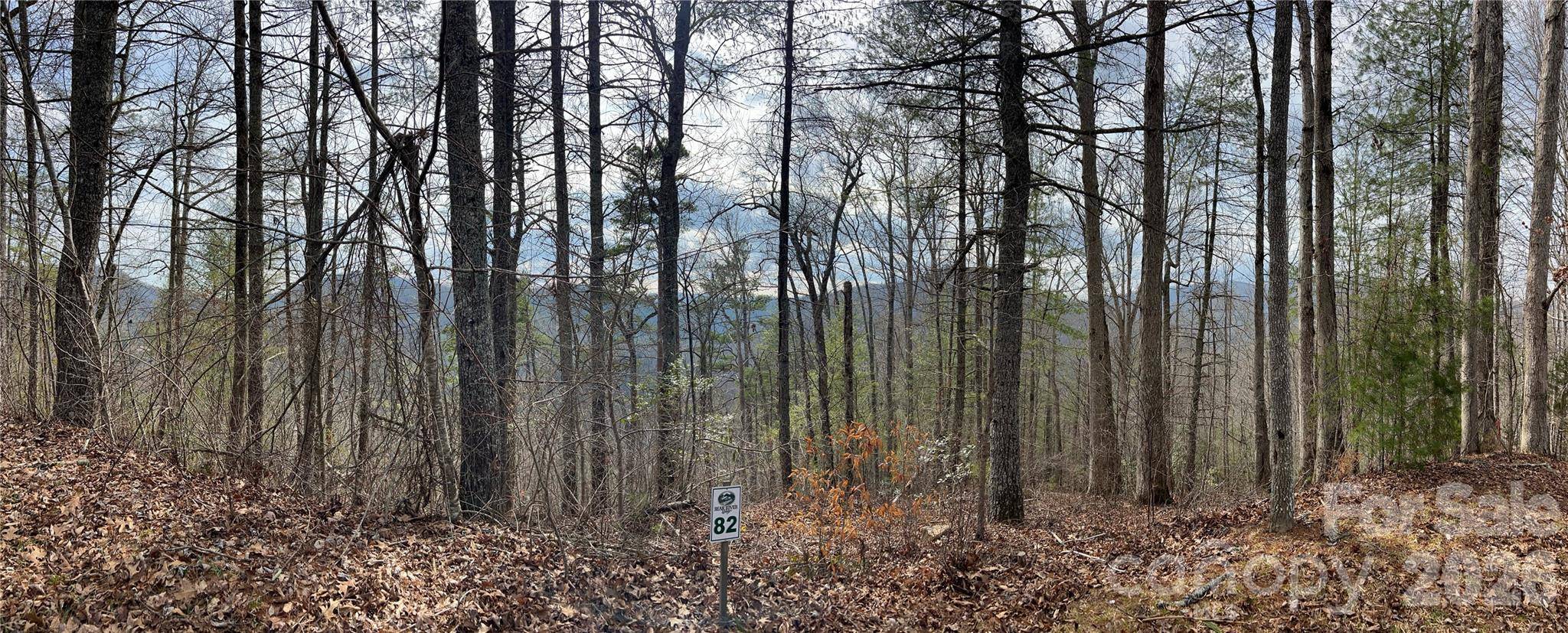 232 Thorncliff RD #82, Marshall, NC 28753