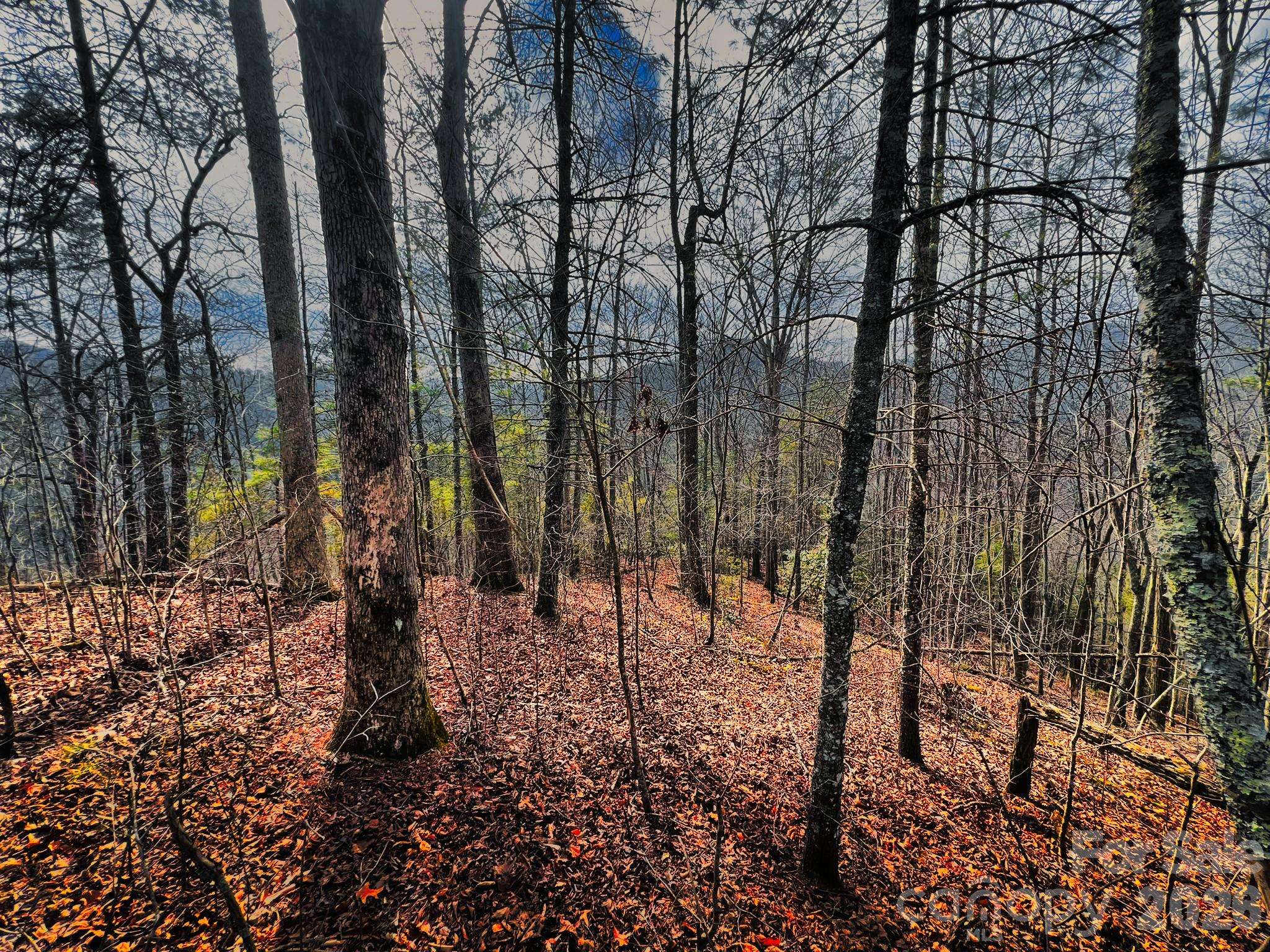 232 Thorncliff RD #82, Marshall, NC 28753