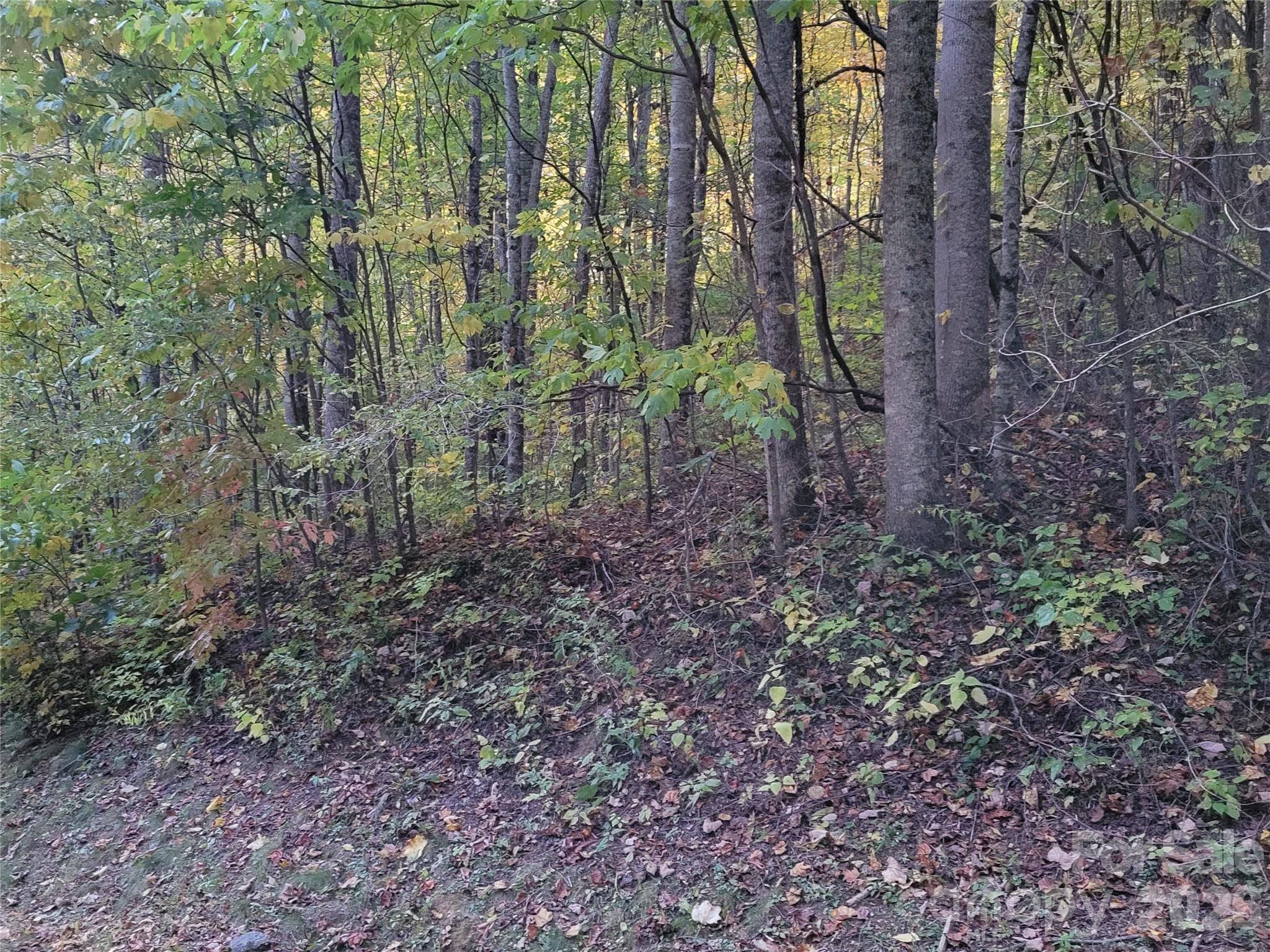 00 Covecrest LN #15, Maggie Valley, NC 28751