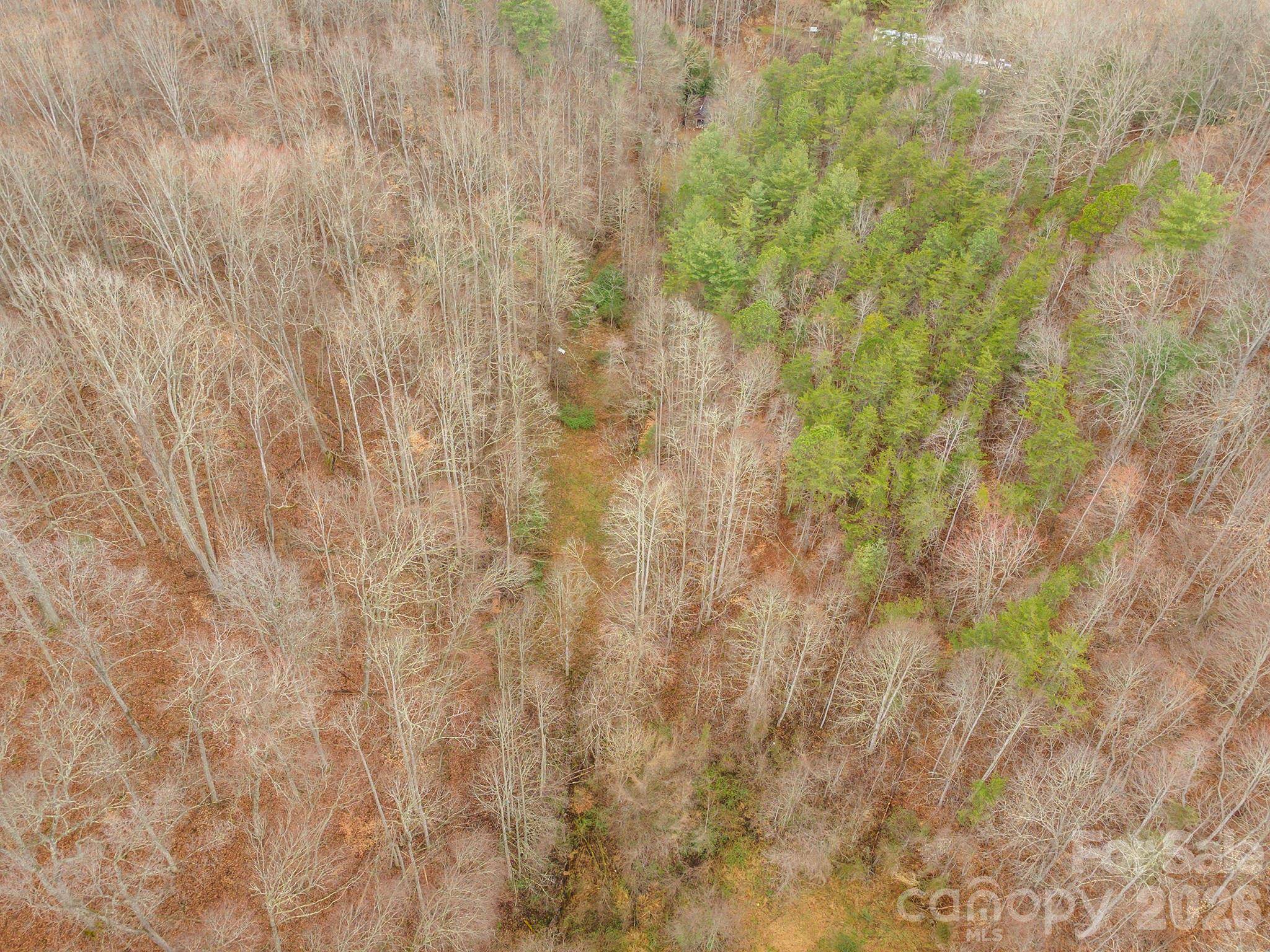 1974 Ammons Branch RD, Marshall, NC 28753