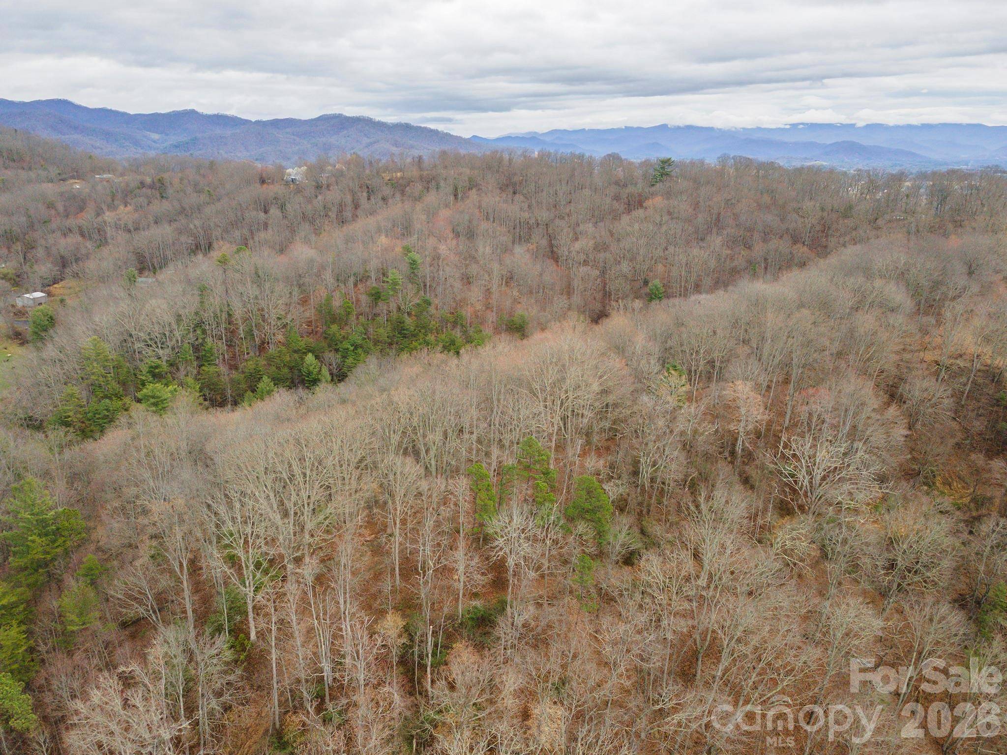 1974 Ammons Branch RD, Marshall, NC 28753