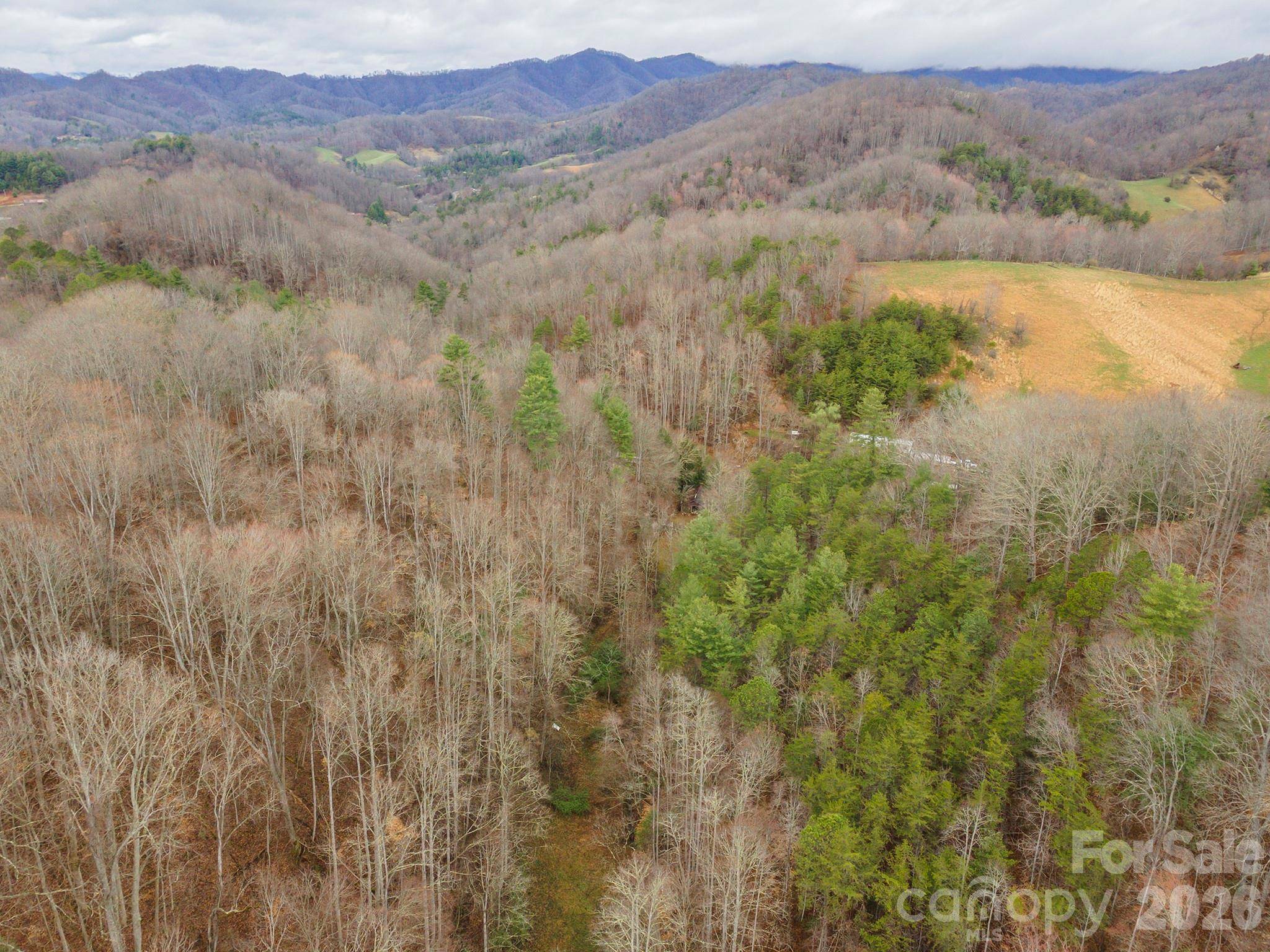 1974 Ammons Branch RD, Marshall, NC 28753