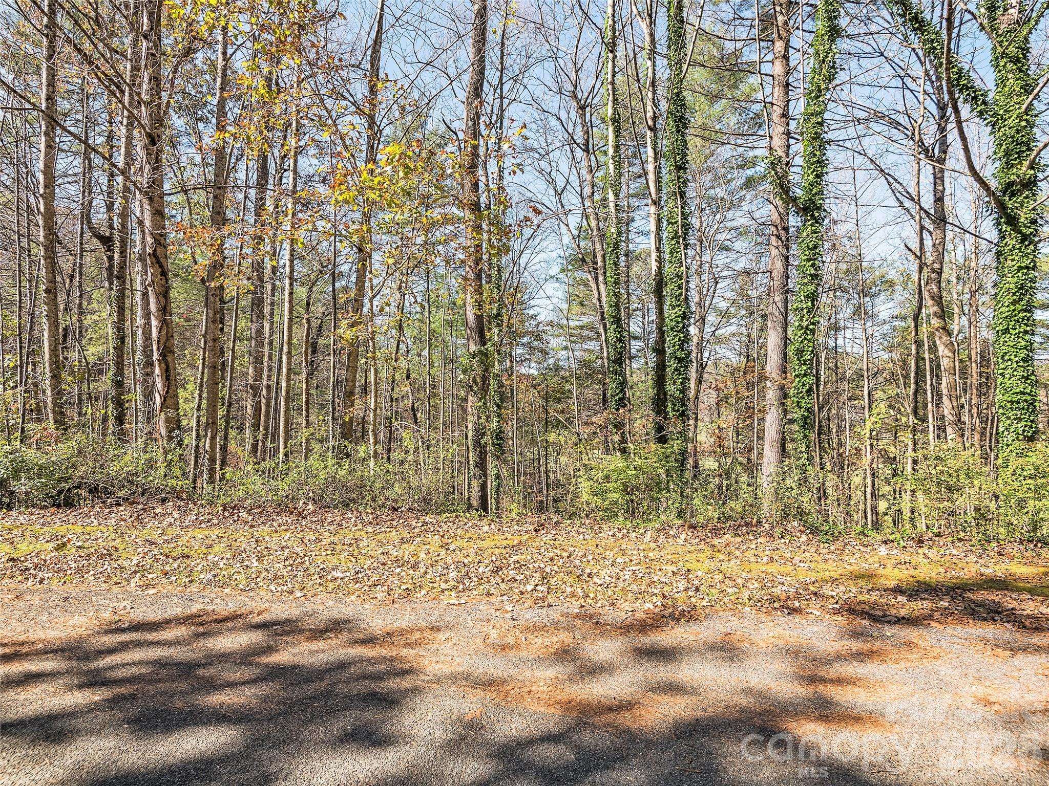 LOT 15 Mountain Lakes DR #15, Hendersonville, NC 28739