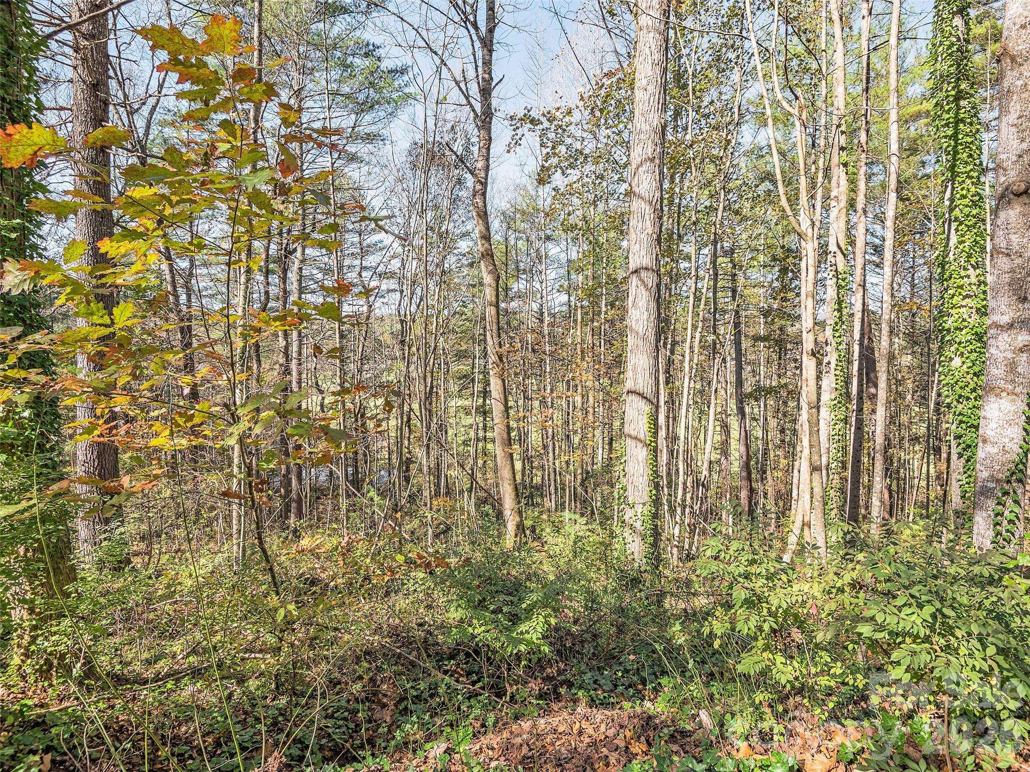 LOT 15 Mountain Lakes DR #15, Hendersonville, NC 28739