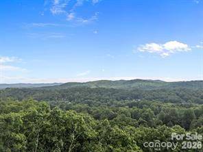 w12 curtain BLF, Hendersonville, NC 28791