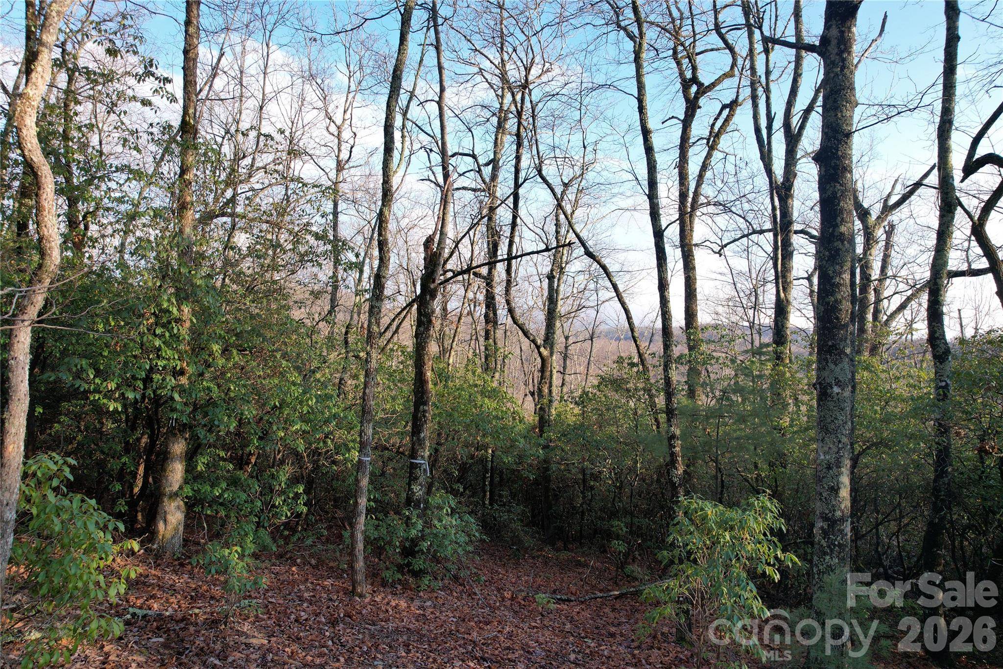 TBD Laurel Thicket LN, Brevard, NC 28712