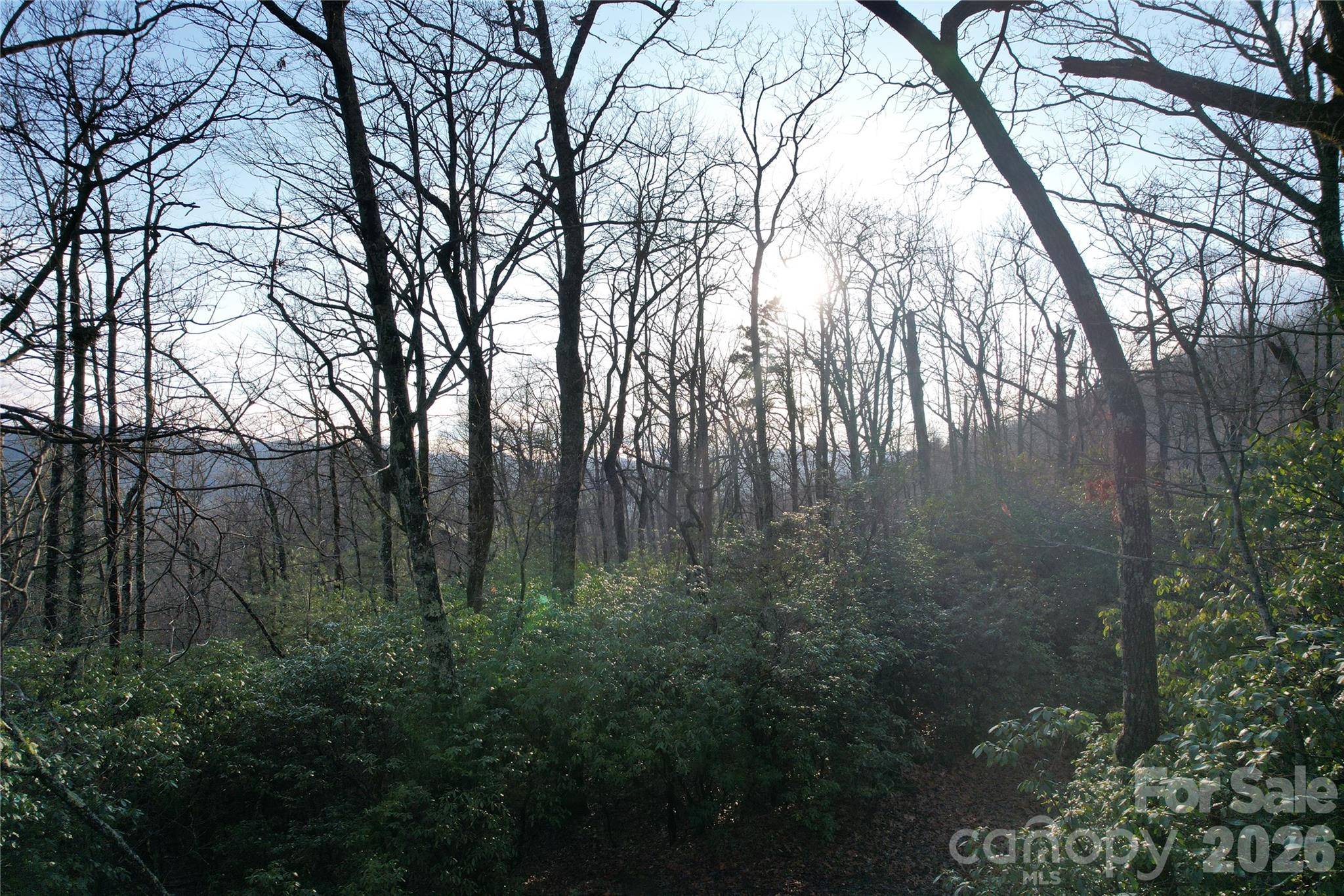 TBD Laurel Thicket LN, Brevard, NC 28712