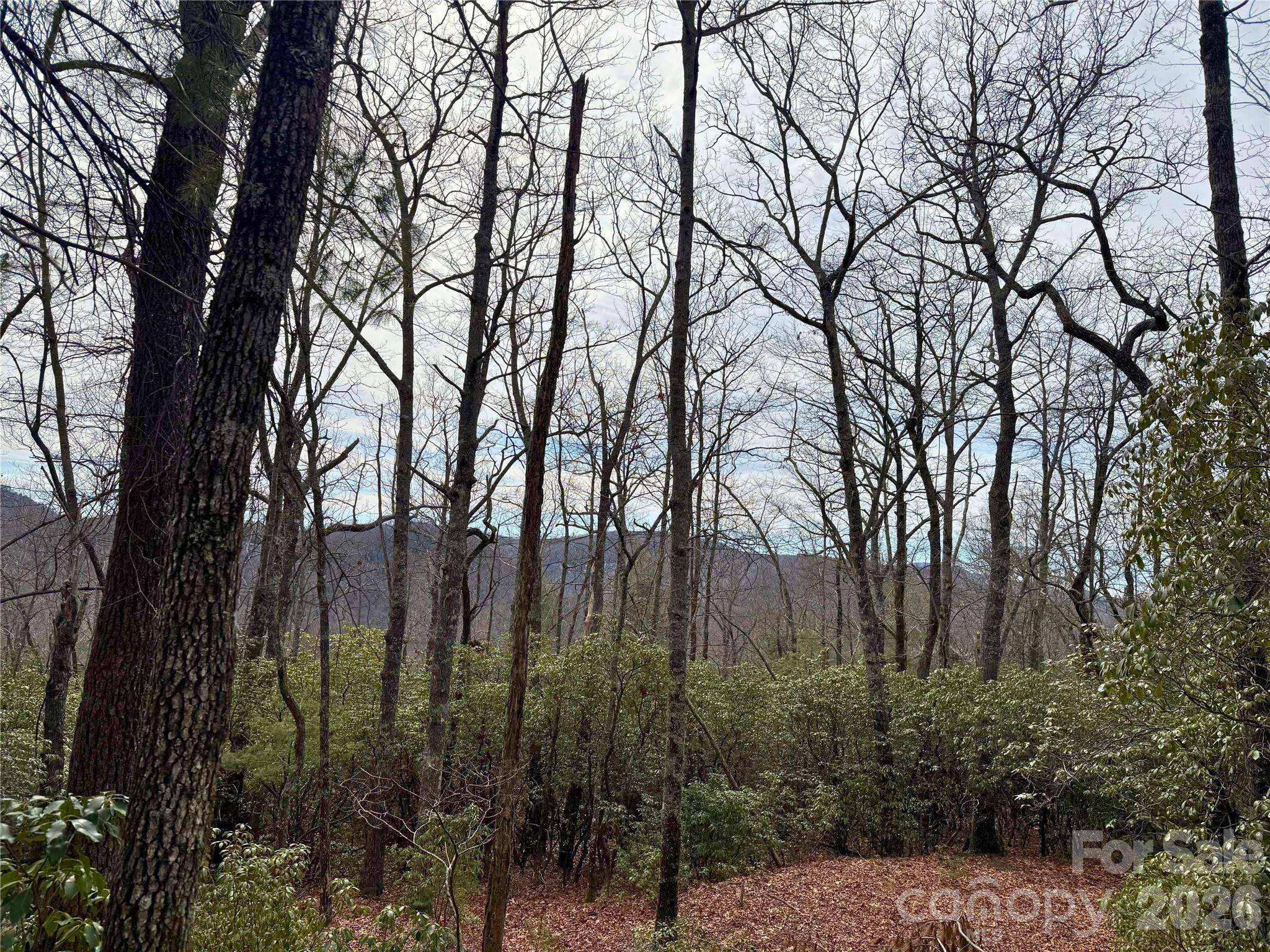 TBD Laurel Thicket LN, Brevard, NC 28712