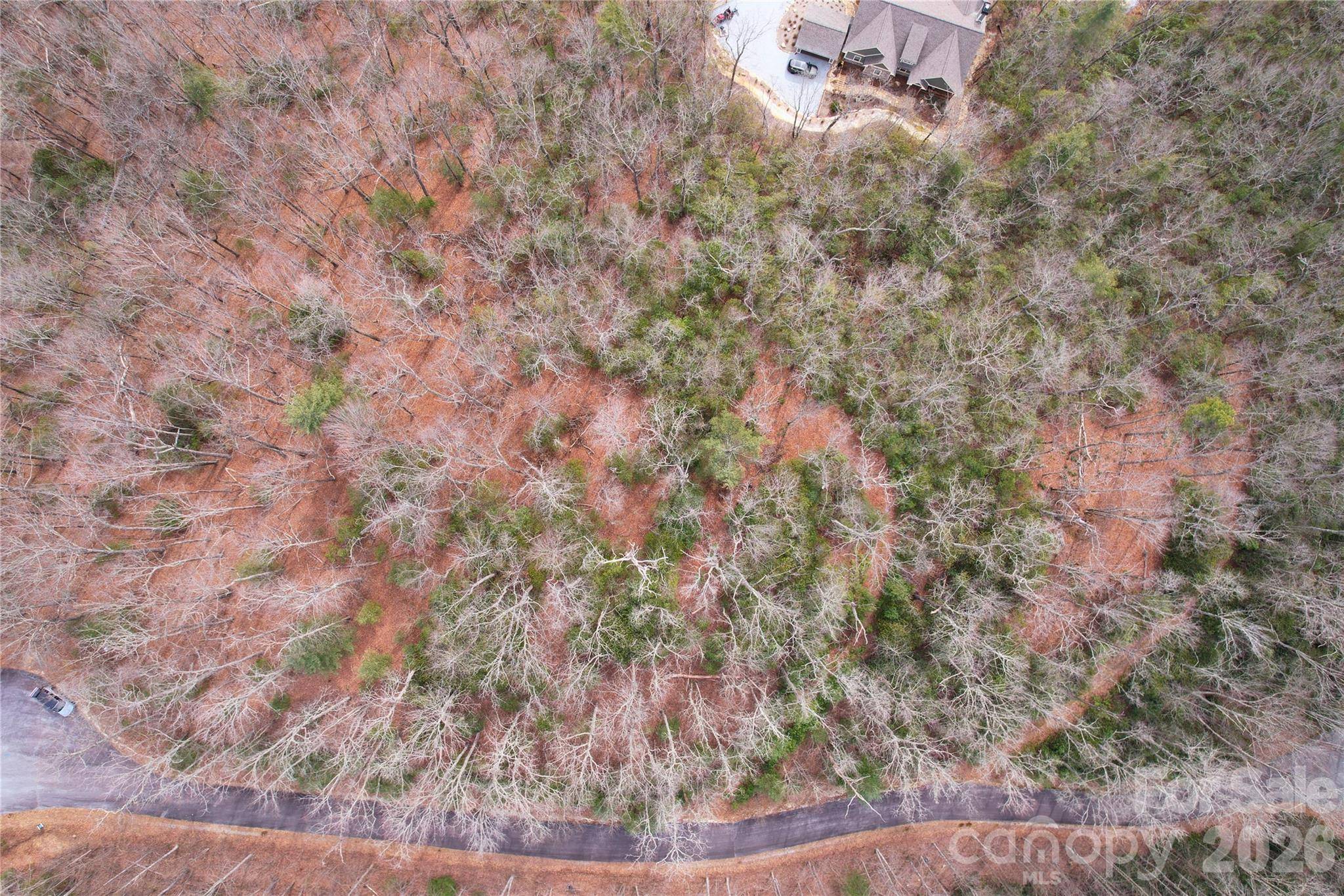TBD Laurel Thicket LN, Brevard, NC 28712