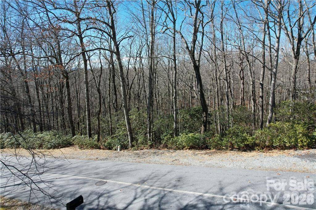 U19 L053 Gawanv CT, Brevard, NC 28712