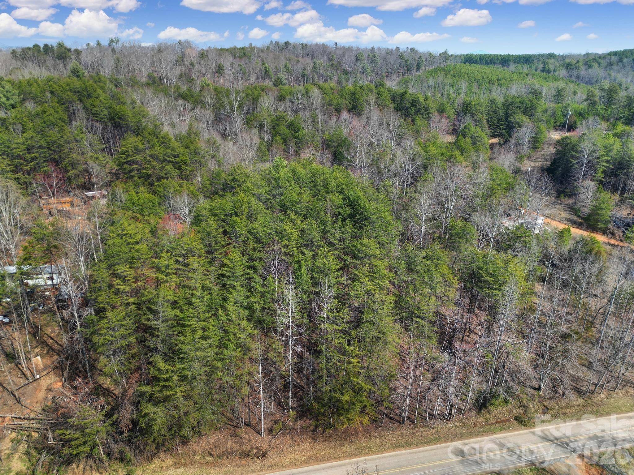 236 Dirty Ankle RD, Lawndale, NC 28090