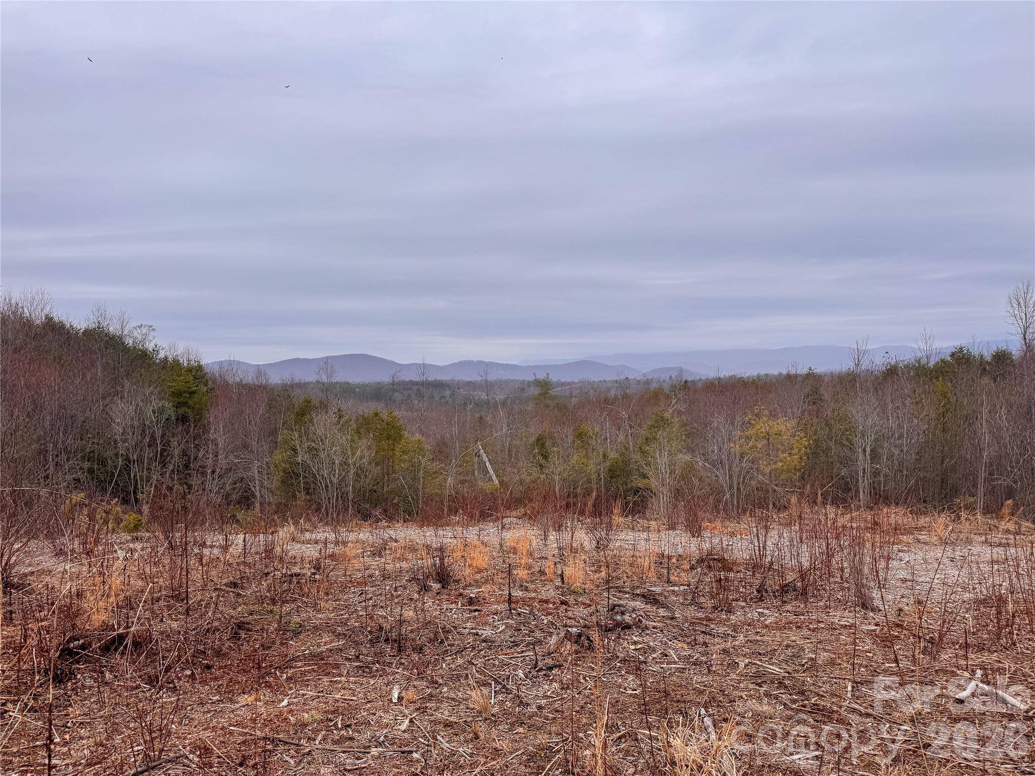 00 Baugess Mill RD, Traphill, NC 28685