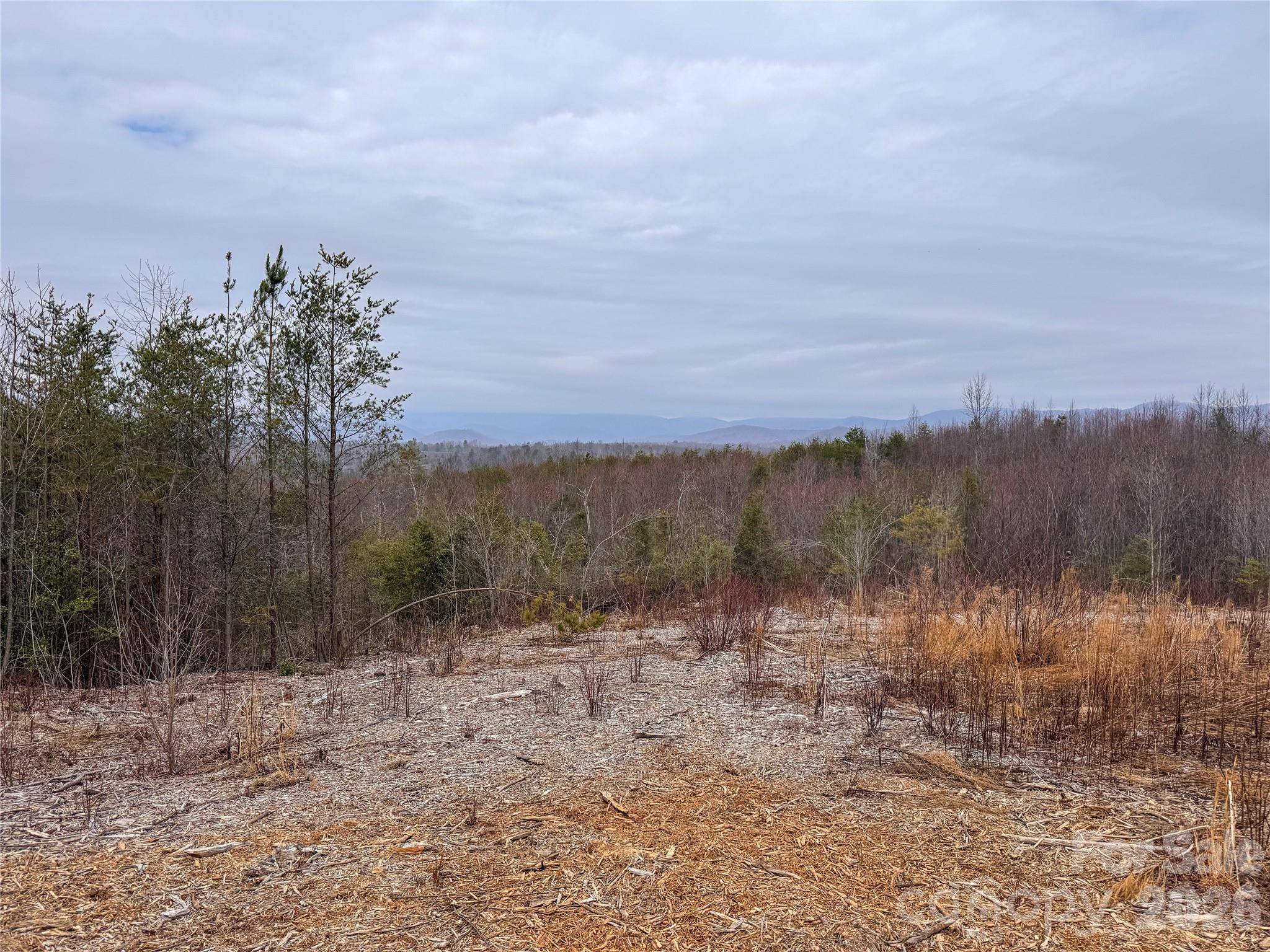 00 Baugess Mill RD, Traphill, NC 28685
