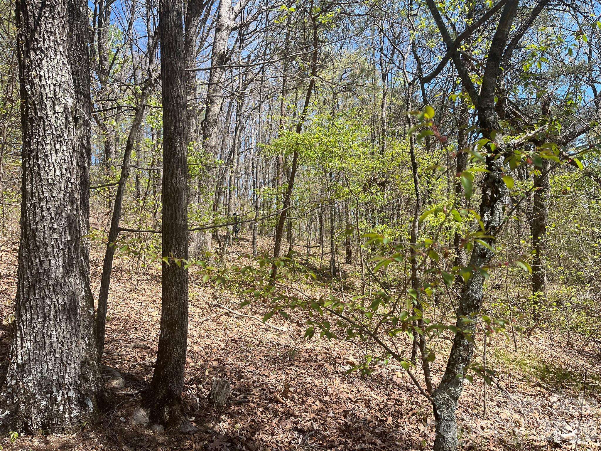 0 Pilgrim Church RD, Hiddenite, NC 28636