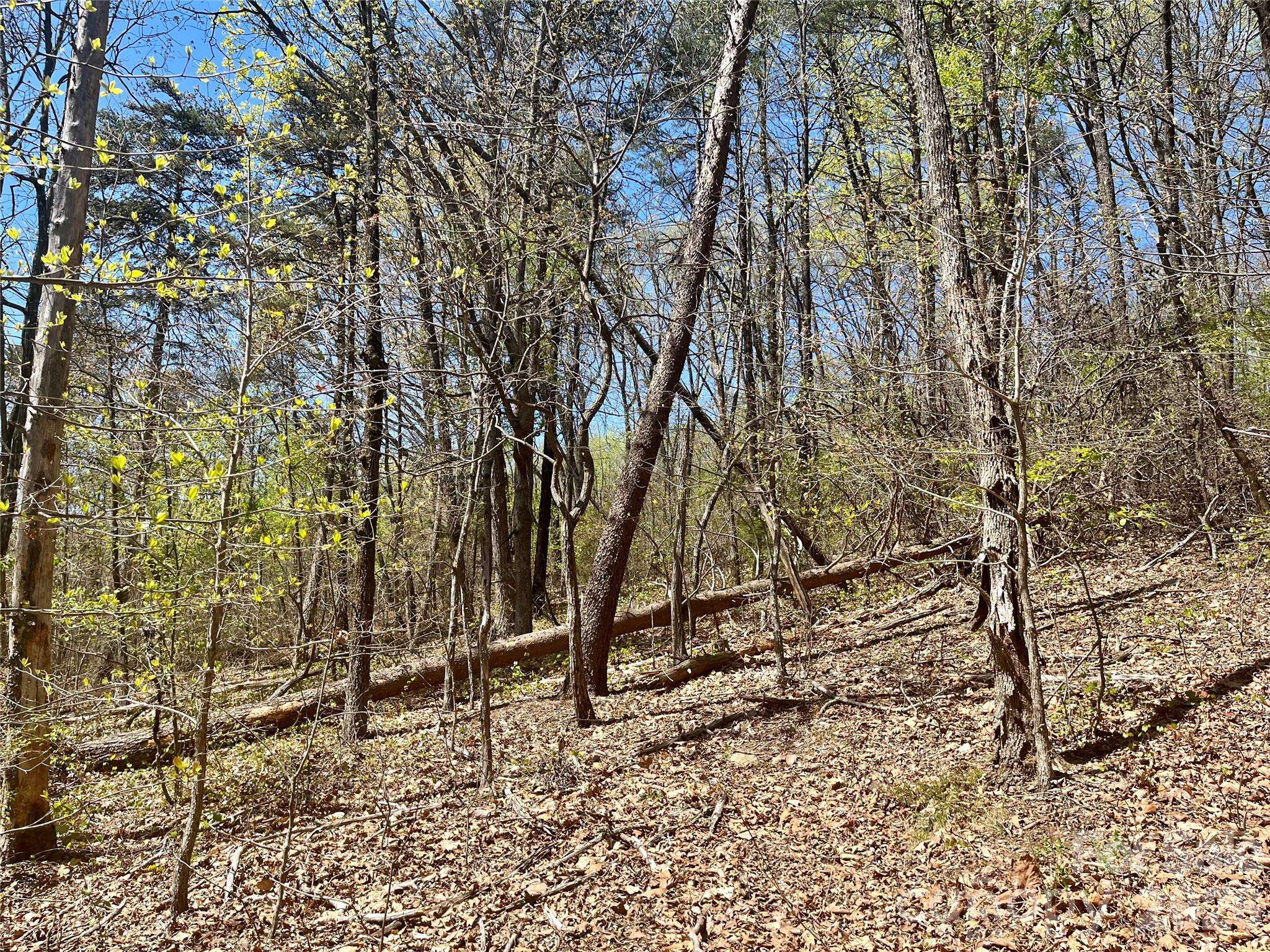 0000 Pilgrim Church RD, Hiddenite, NC 28636