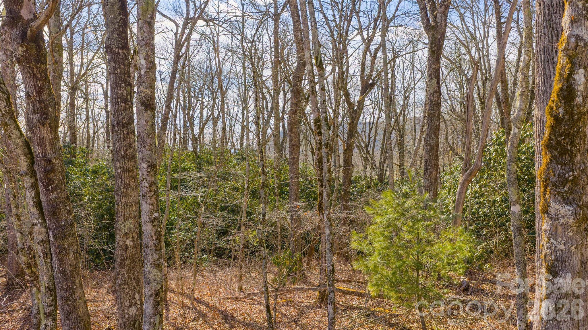 TBD Garden TRL, Highlands, NC 28741