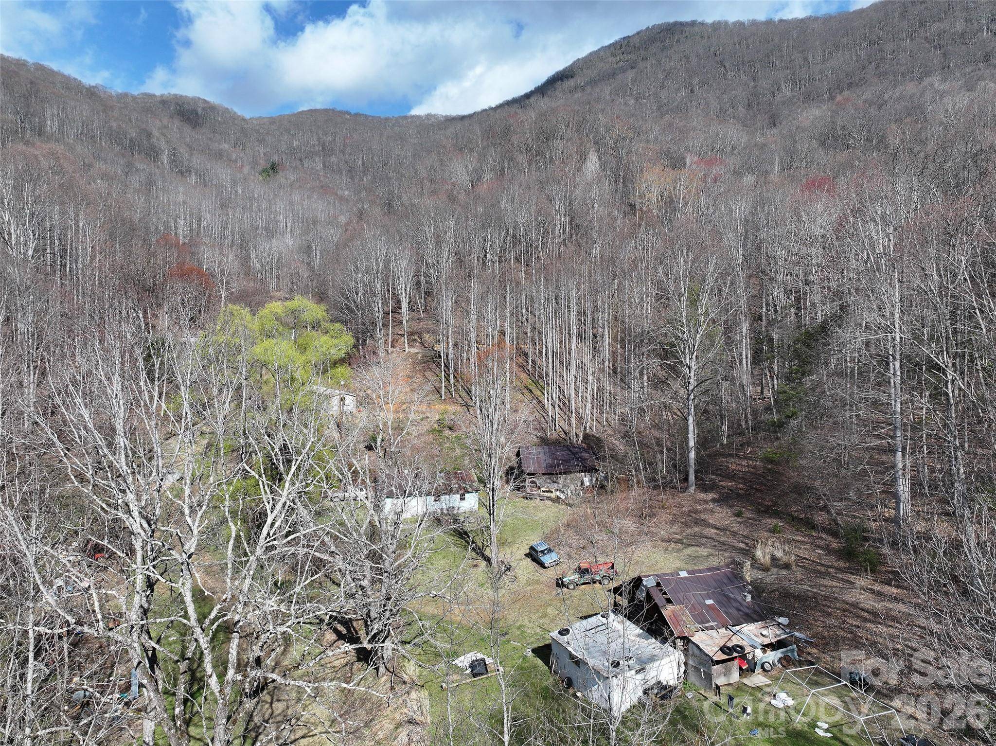 1002 Ned Cove RD, Waynesville, NC 28785