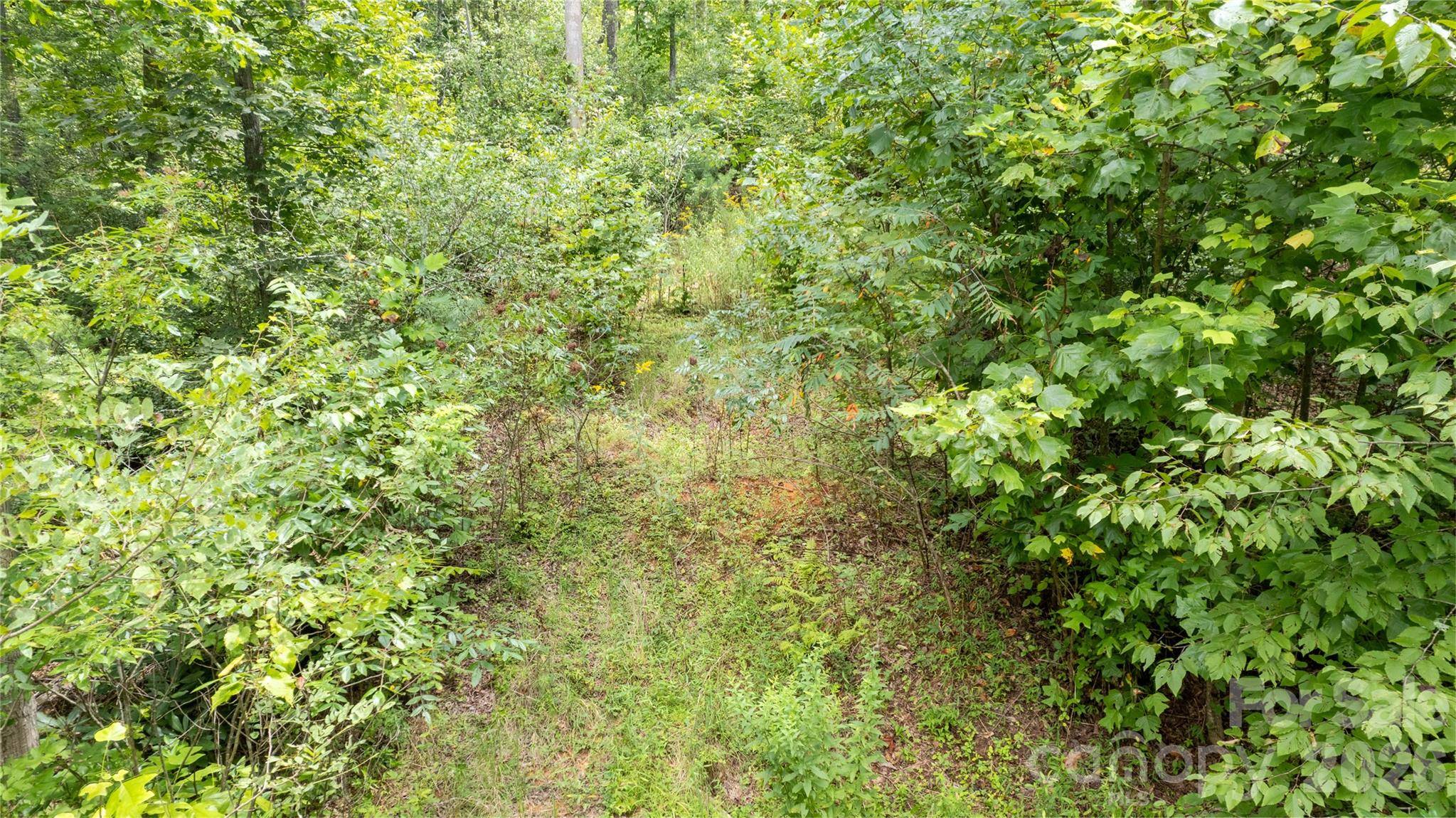 TBD Collettsville RD #12, Collettsville, NC 28611