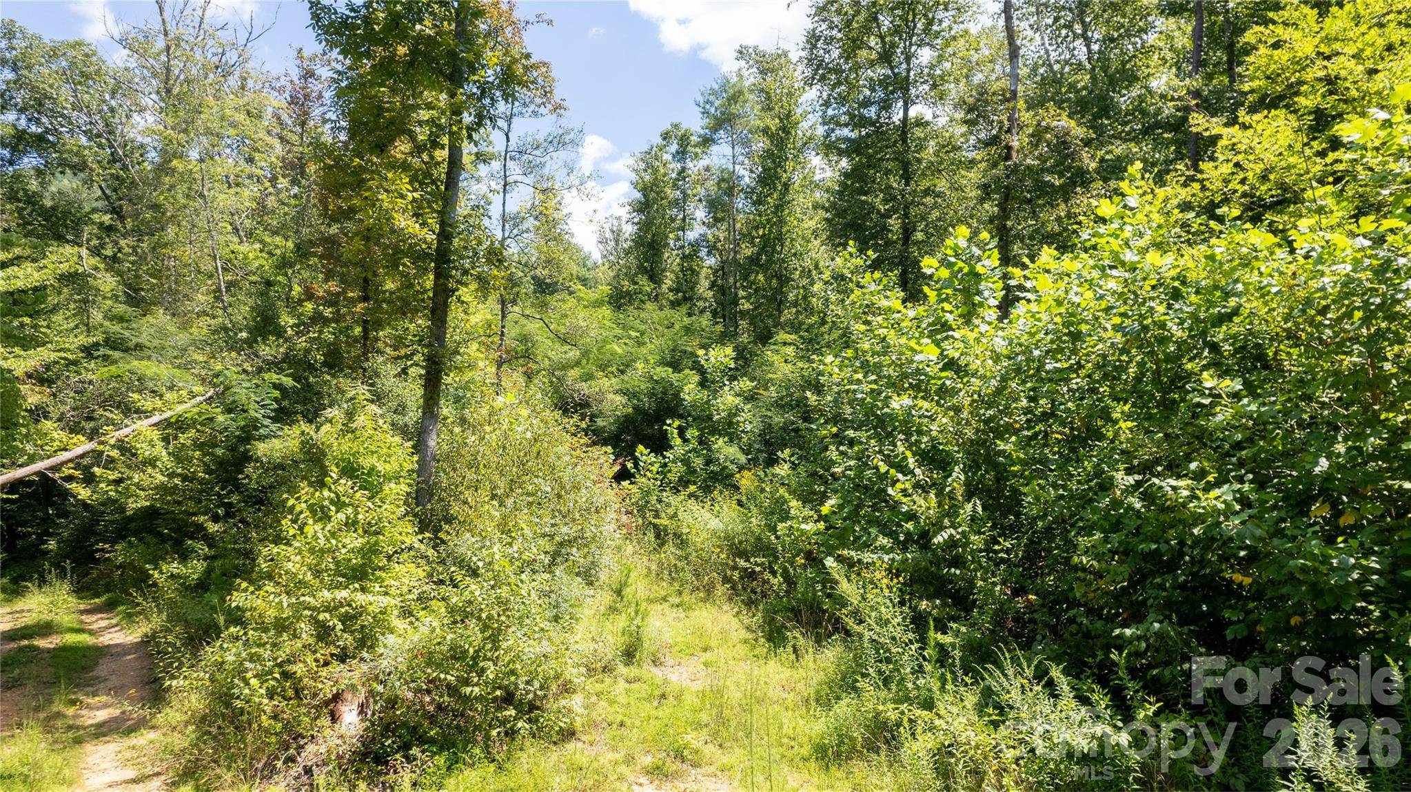 TBD Collettsville RD #12, Collettsville, NC 28611