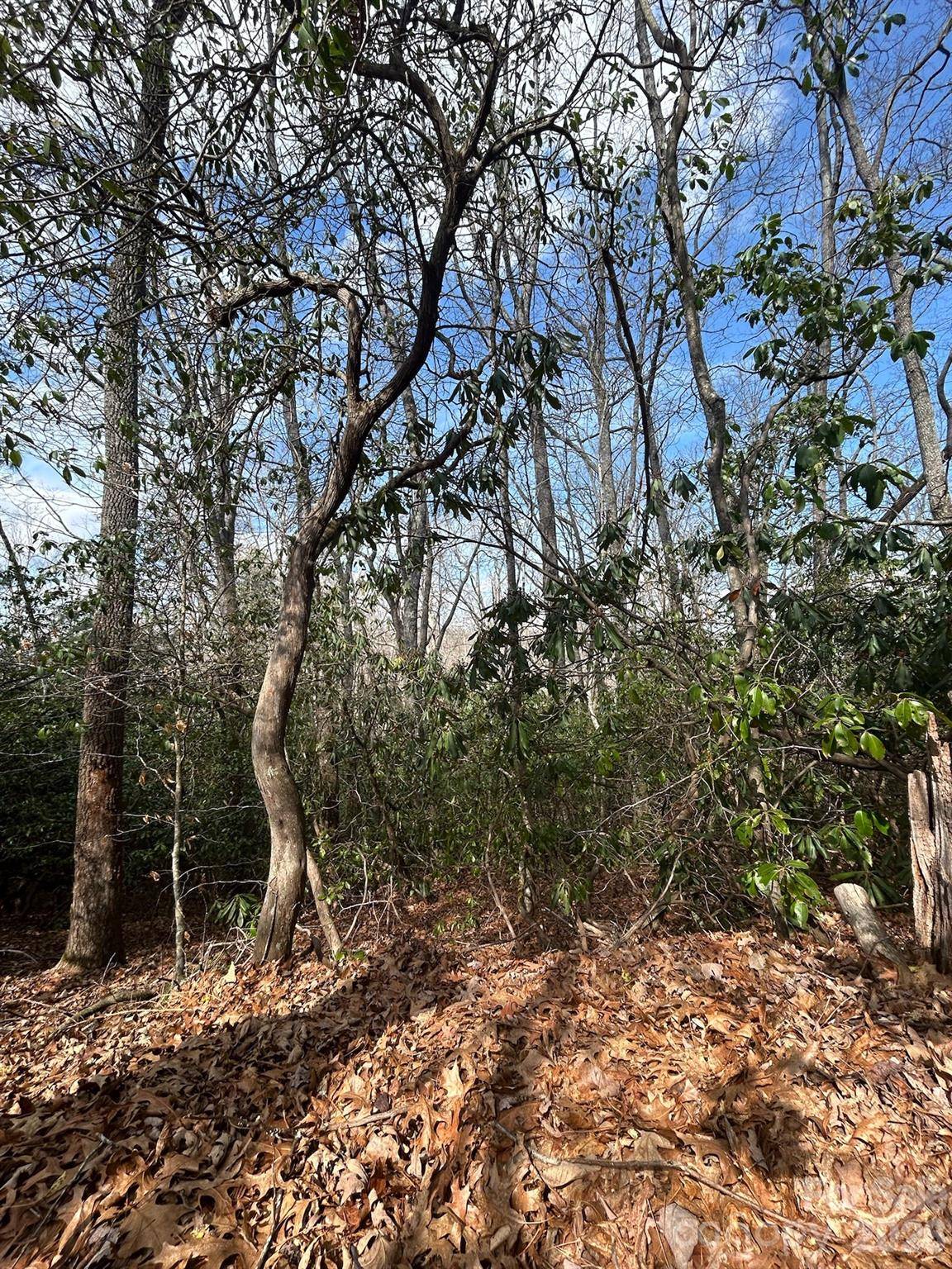Lot 37 High Peak RD, Hendersonville, NC 28739