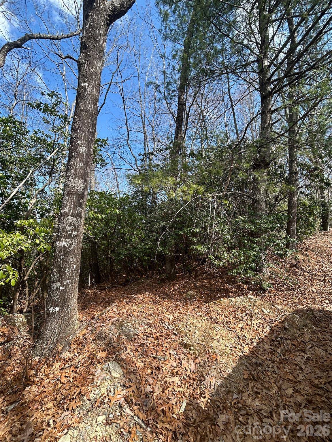 Lot 37 High Peak RD, Hendersonville, NC 28739