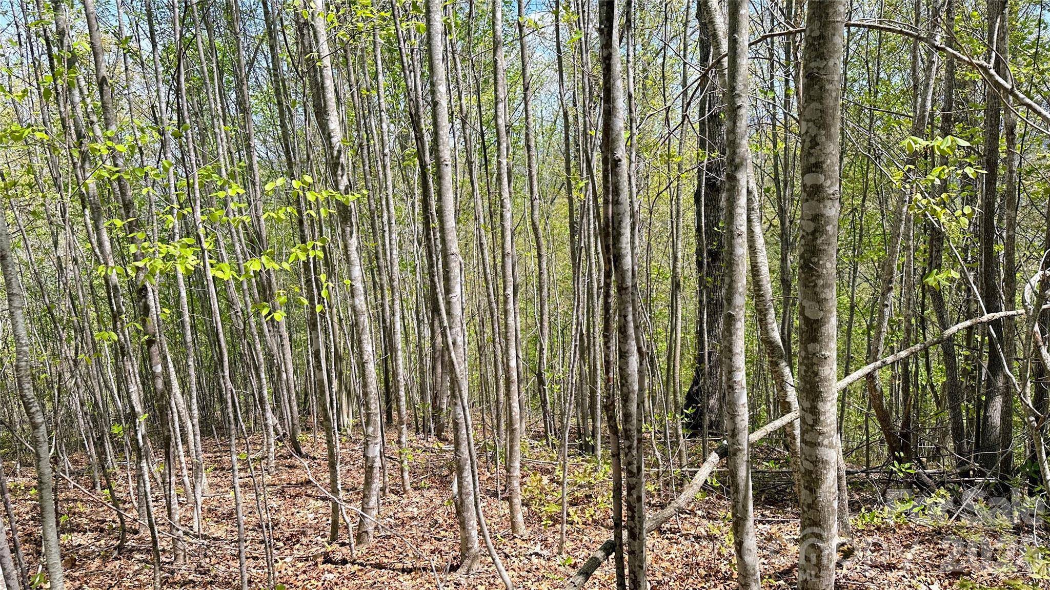 0000 Oat Field RD #5B, Tuckasegee, NC 28783