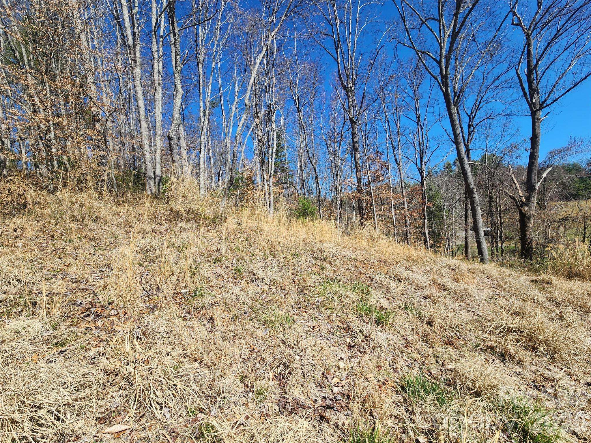 9999 Country DR, Mars Hill, NC 28754