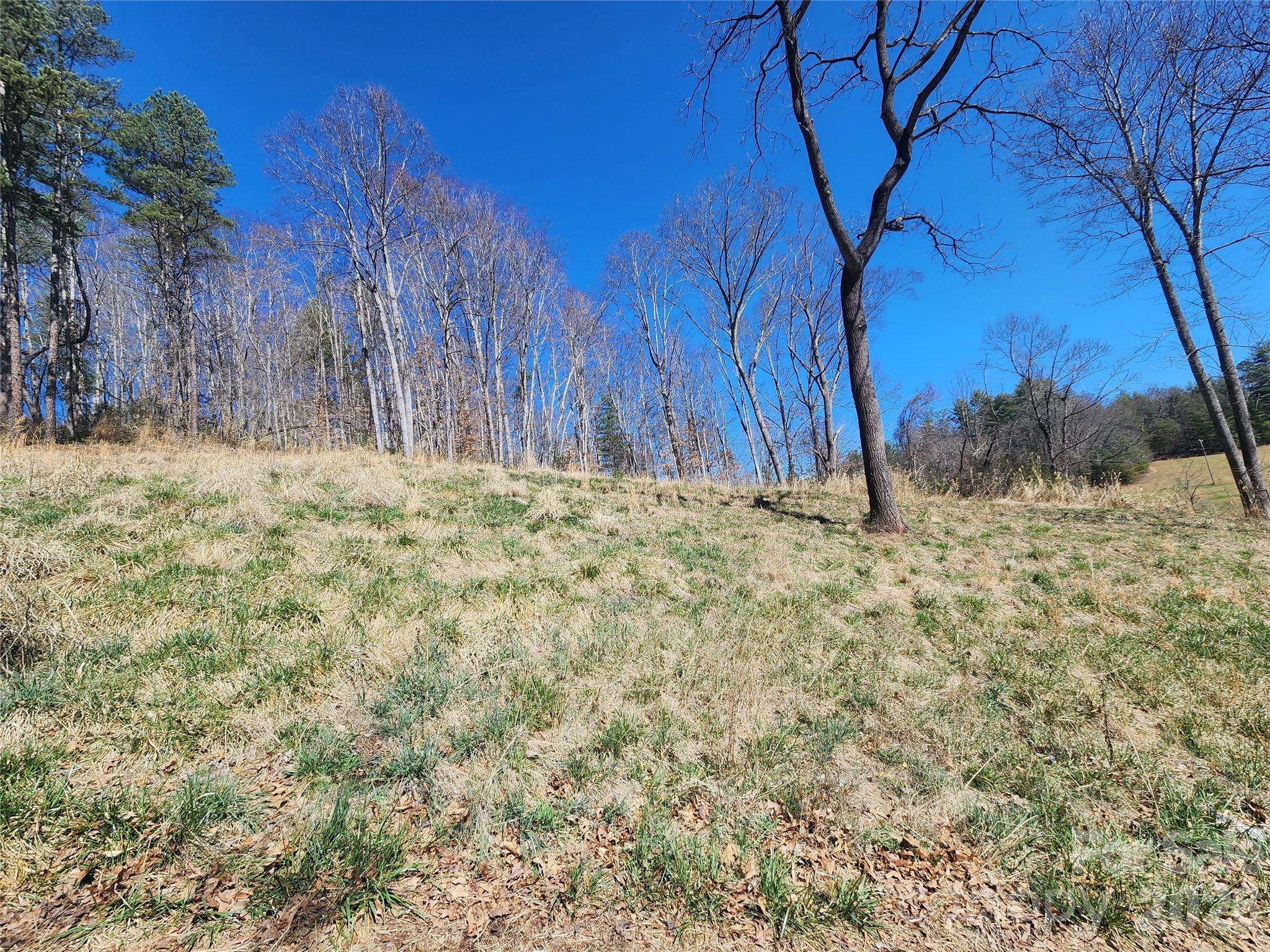 9999 Country DR, Mars Hill, NC 28754