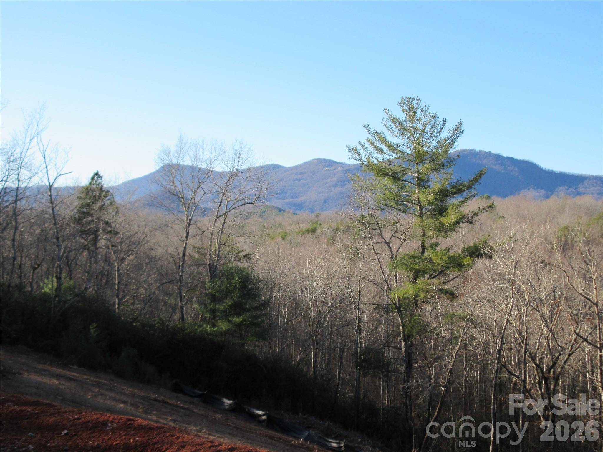 0 Levi RD, Columbus, NC 28722