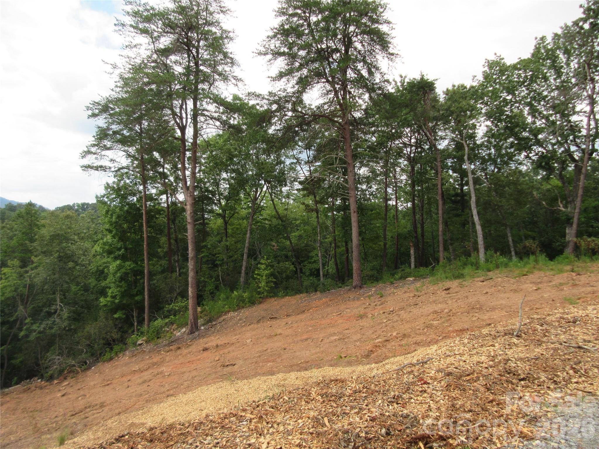 0 Levi RD, Columbus, NC 28722