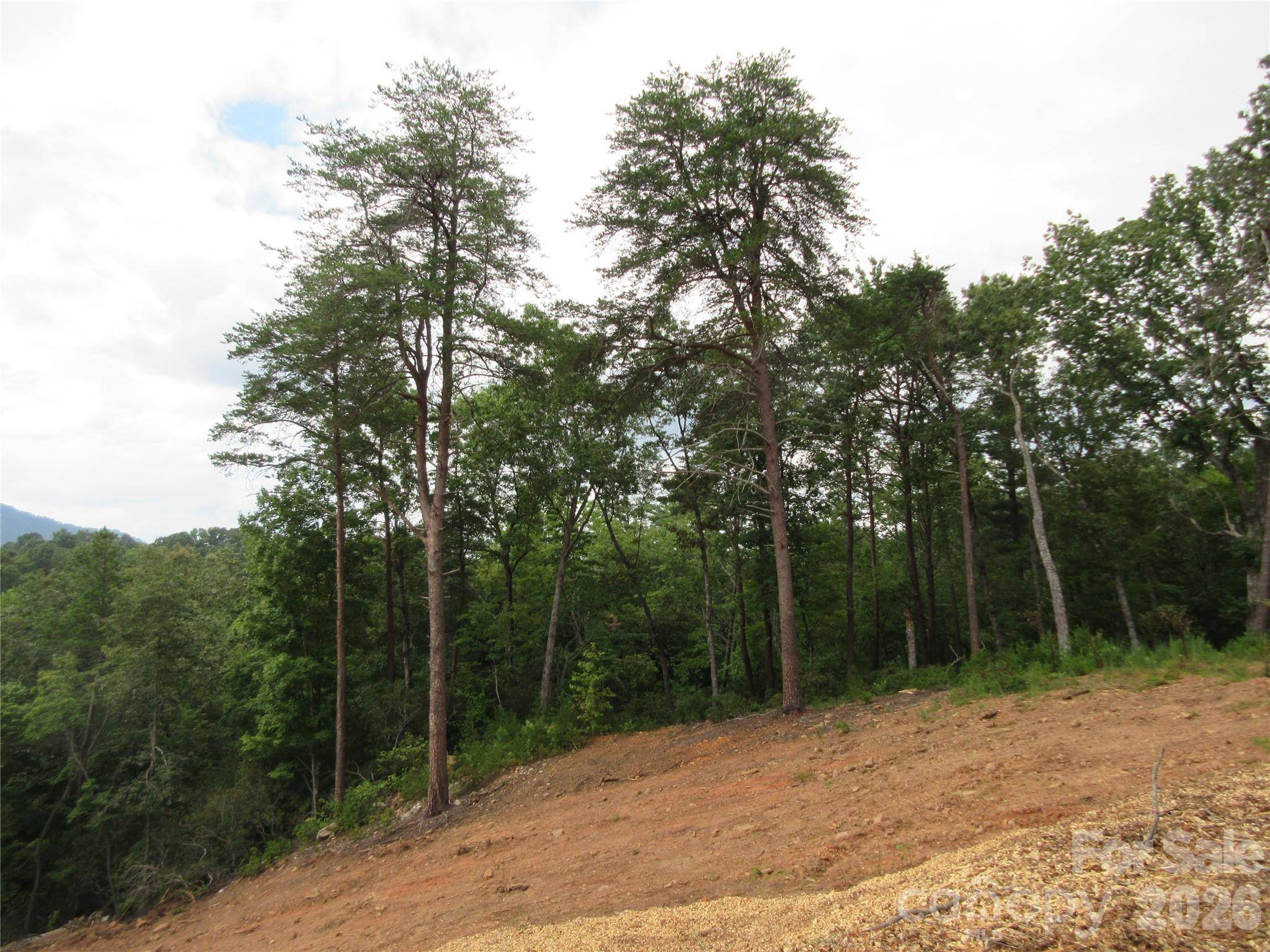 0 Levi RD, Columbus, NC 28722