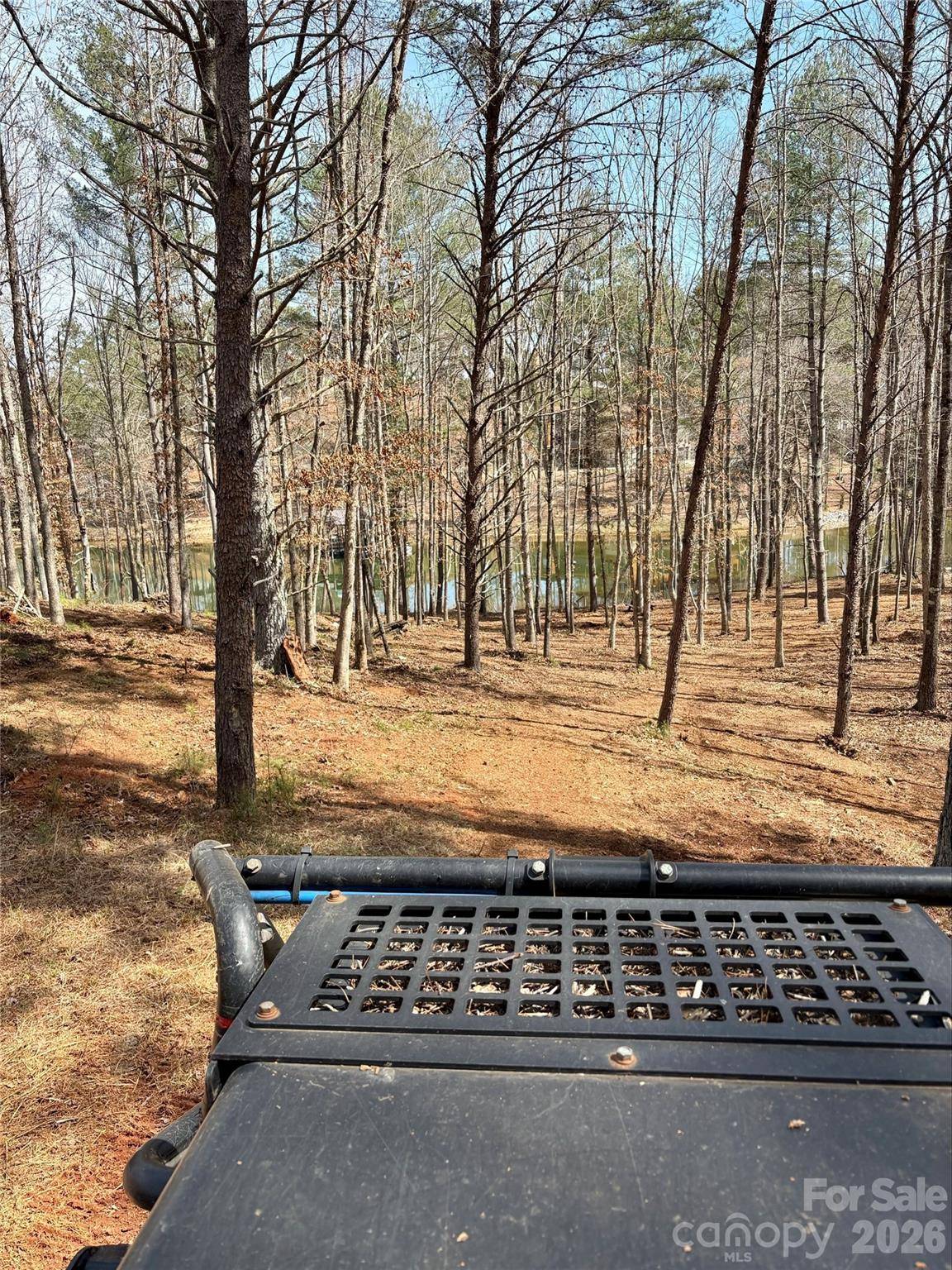 2289 Castle Peak Mountain MTN #133, Connelly Springs, NC 28612