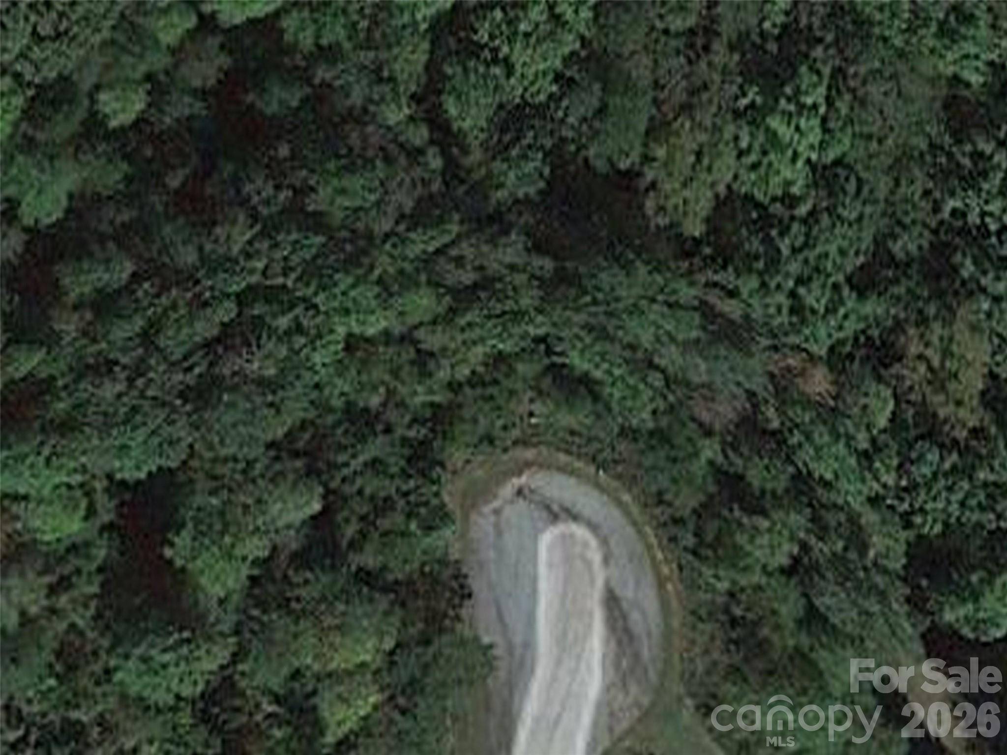 0 Willow Top LN #338, Lake Lure, NC 28746