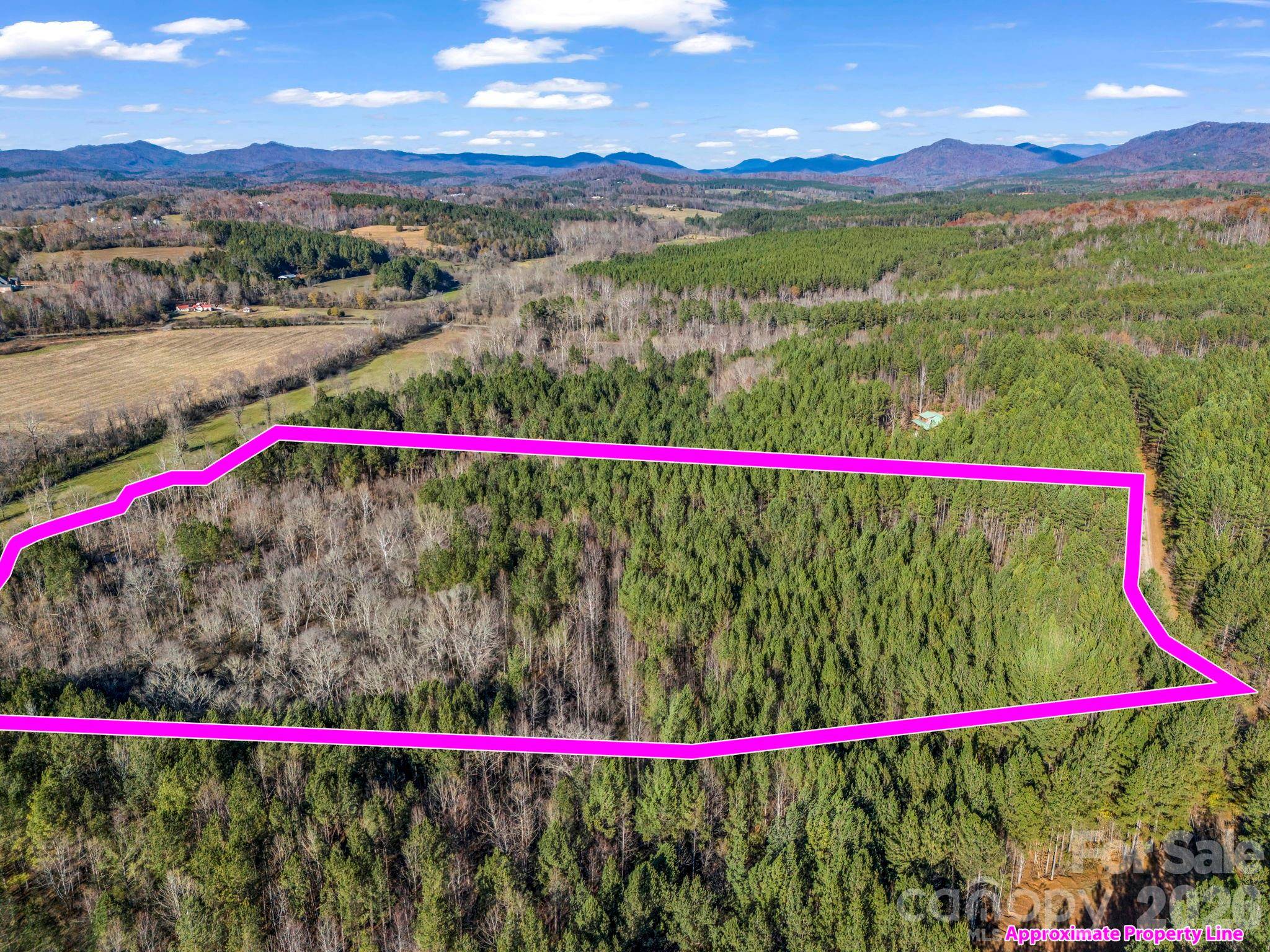 0 Farmer Johns TRL #9, Rutherfordton, NC 28139