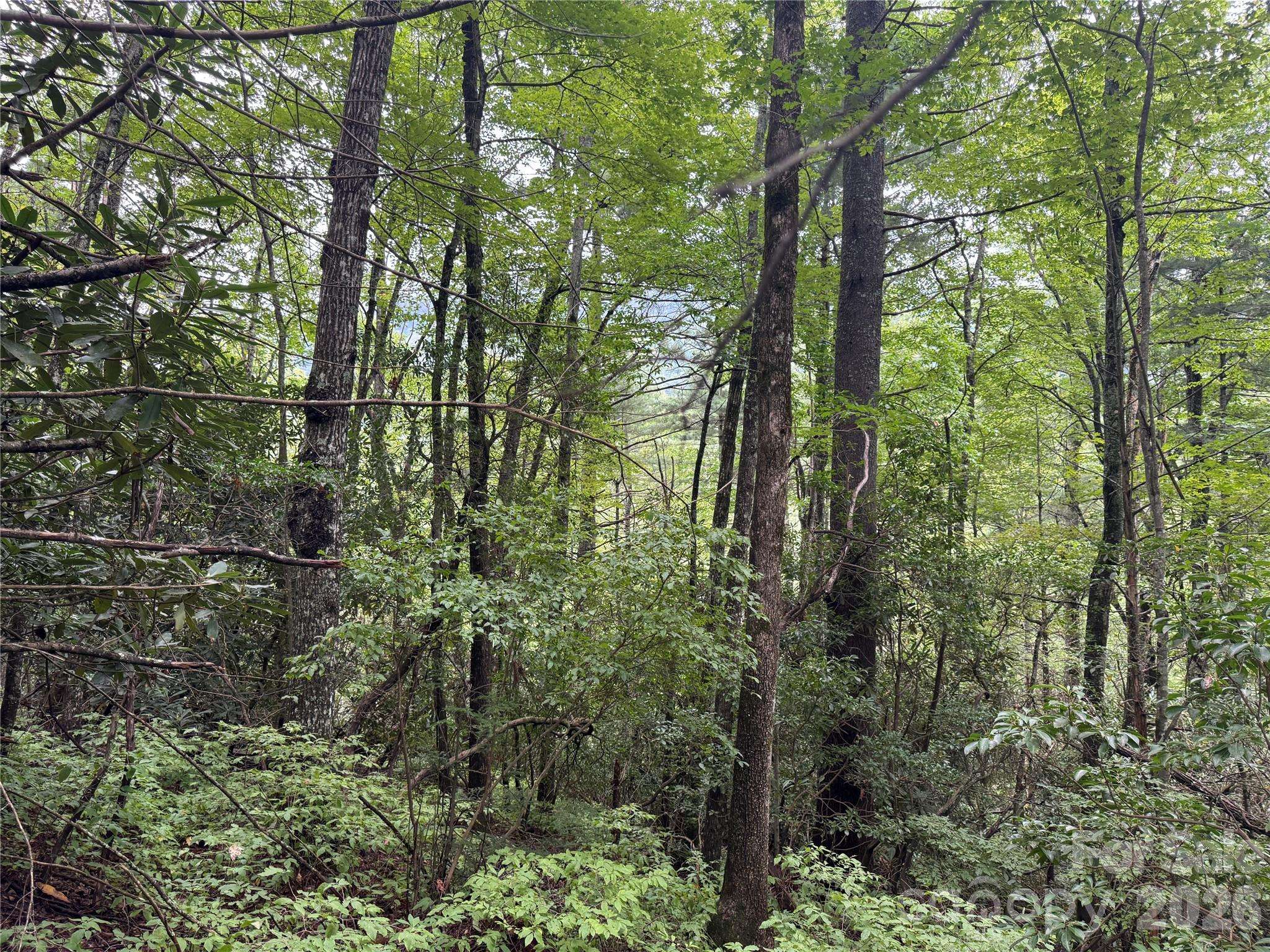 66 W Christy TRL, Sapphire, NC 28774