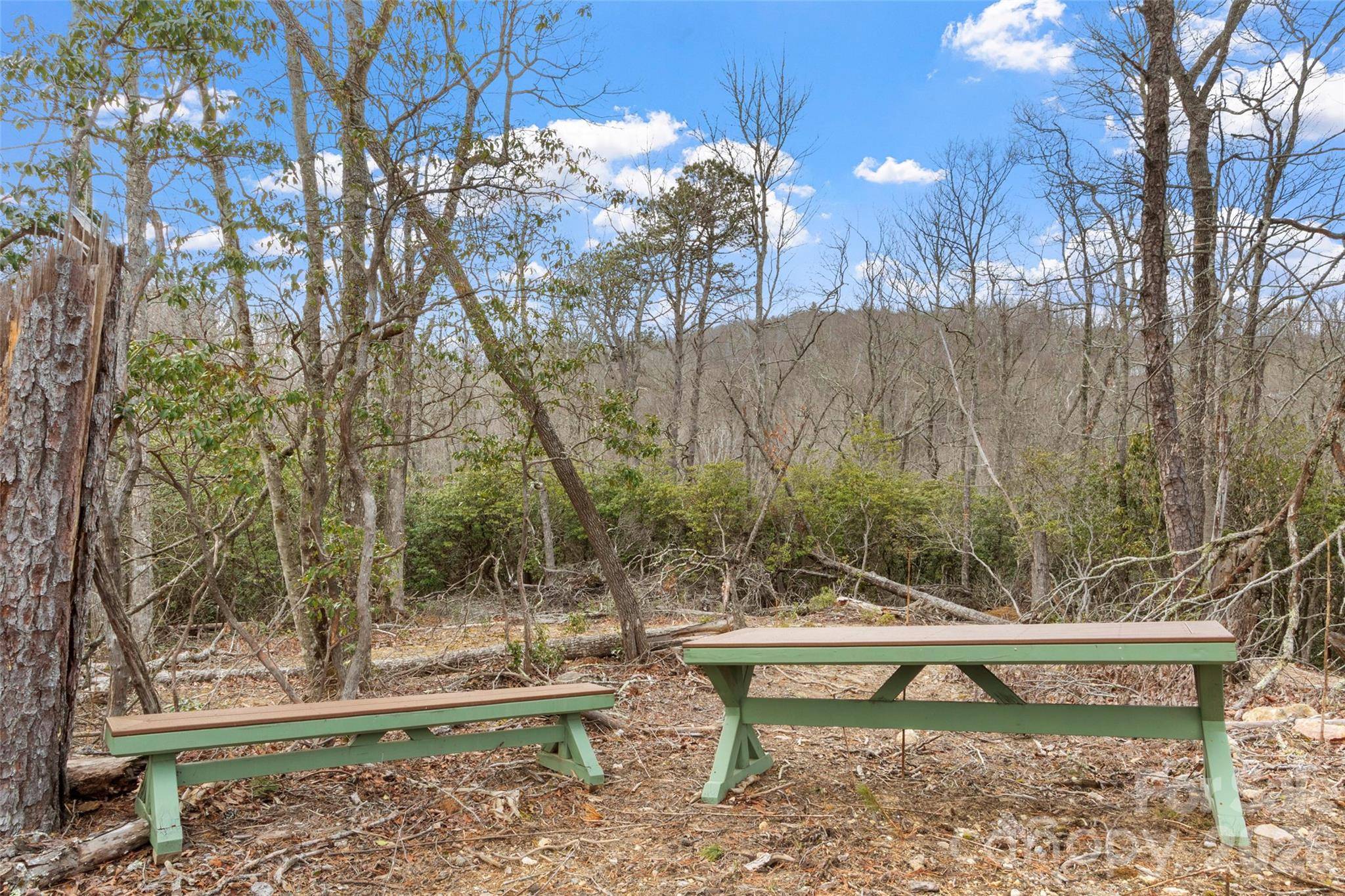 87 Trails End RD #28, Little Switzerland, NC 28749