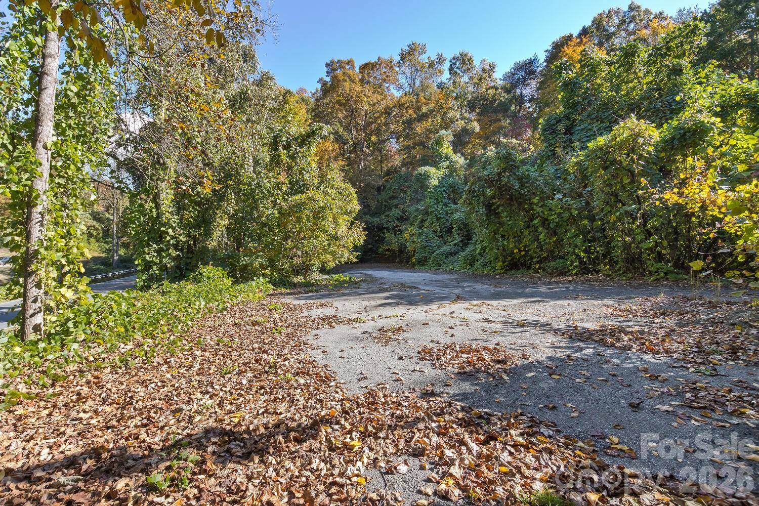 0 Waterside DR #Lot #1B and Lot #1C, Lake Lure, NC 28746