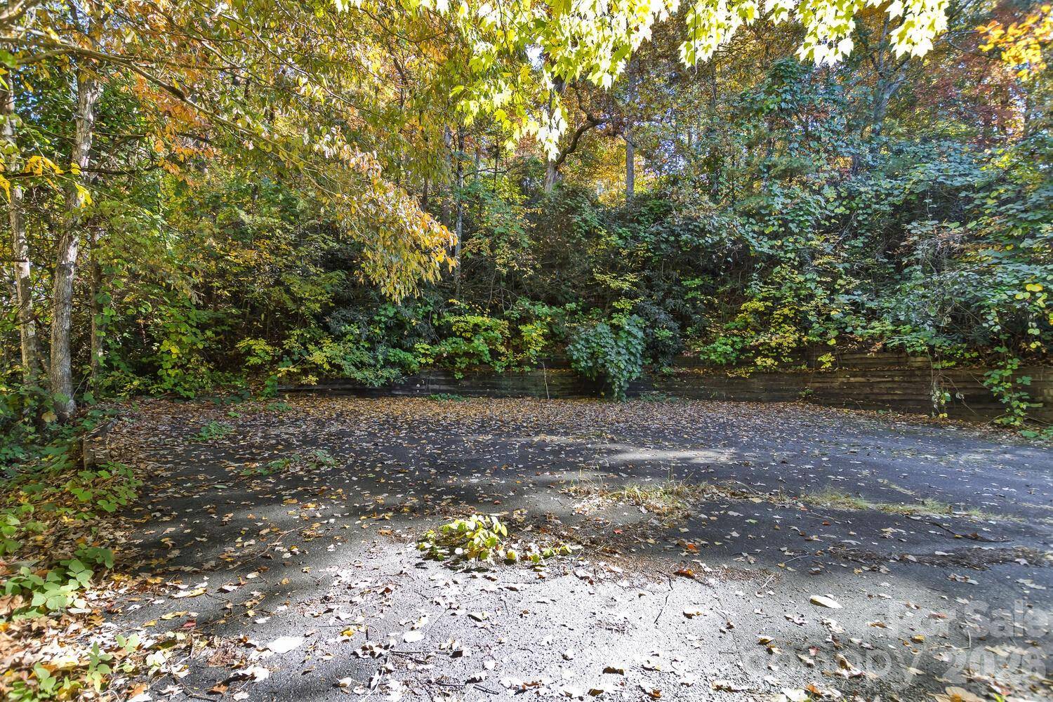 0 Waterside DR #Lot #1B and Lot #1C, Lake Lure, NC 28746