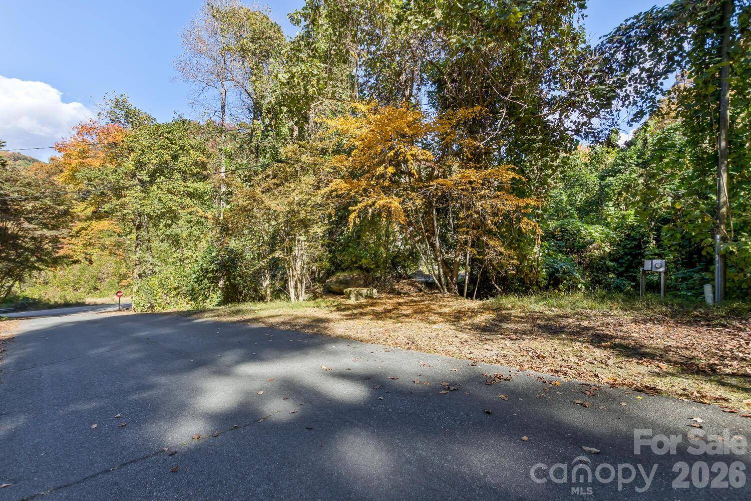 0 Waterside DR #Lot #1B and Lot #1C, Lake Lure, NC 28746
