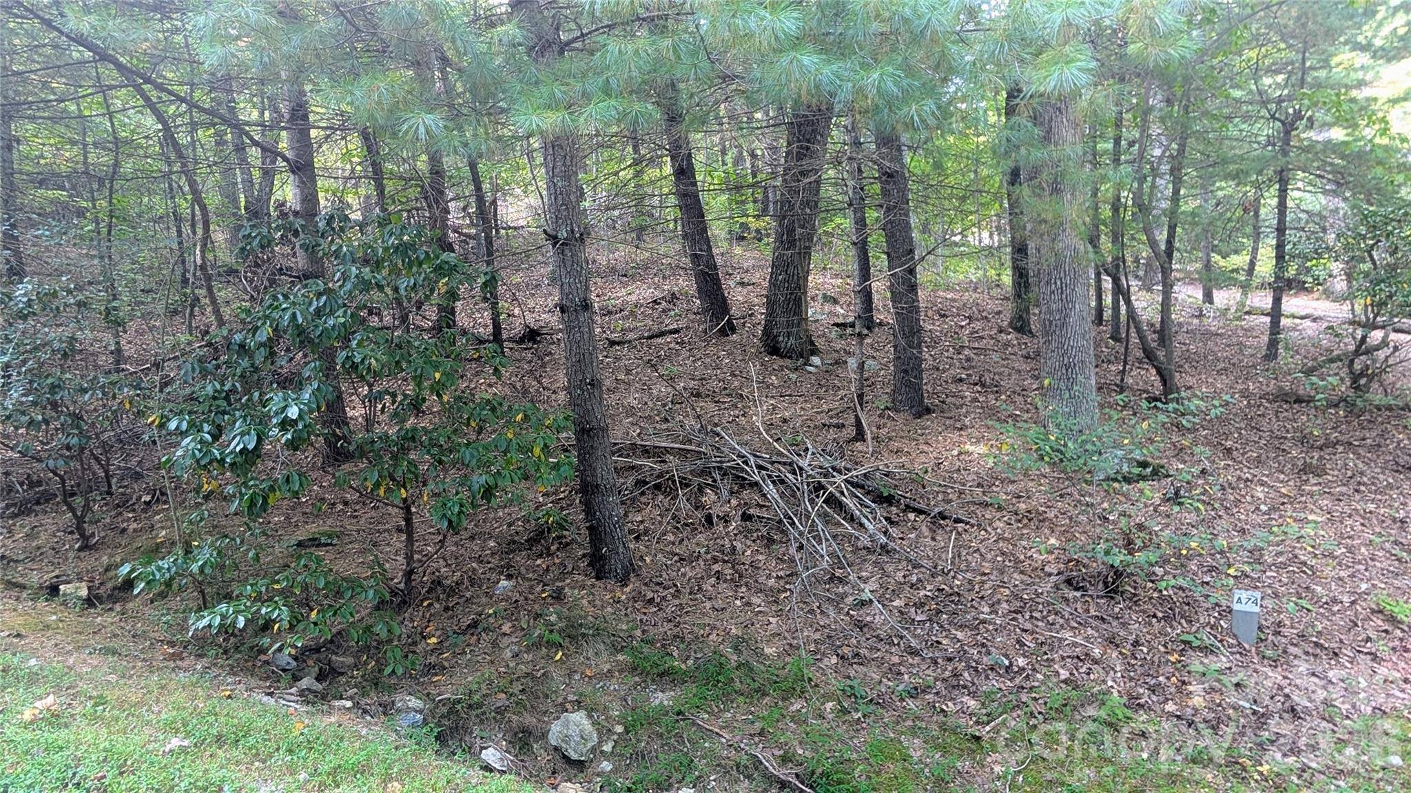 101 Scenic DR #74, Flat Rock, NC 28731