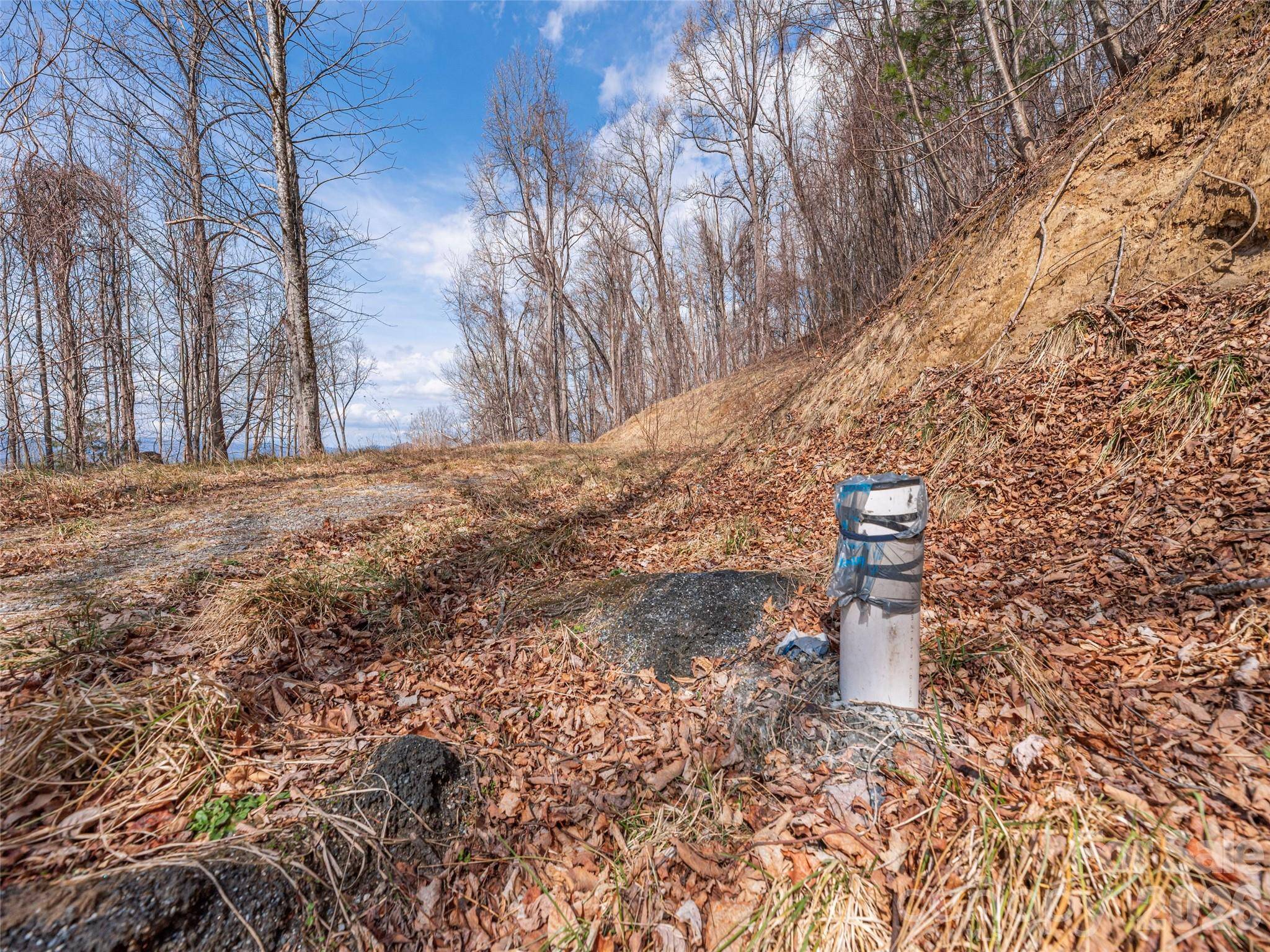 399 Goodson Spring RD, Waynesville, NC 28786