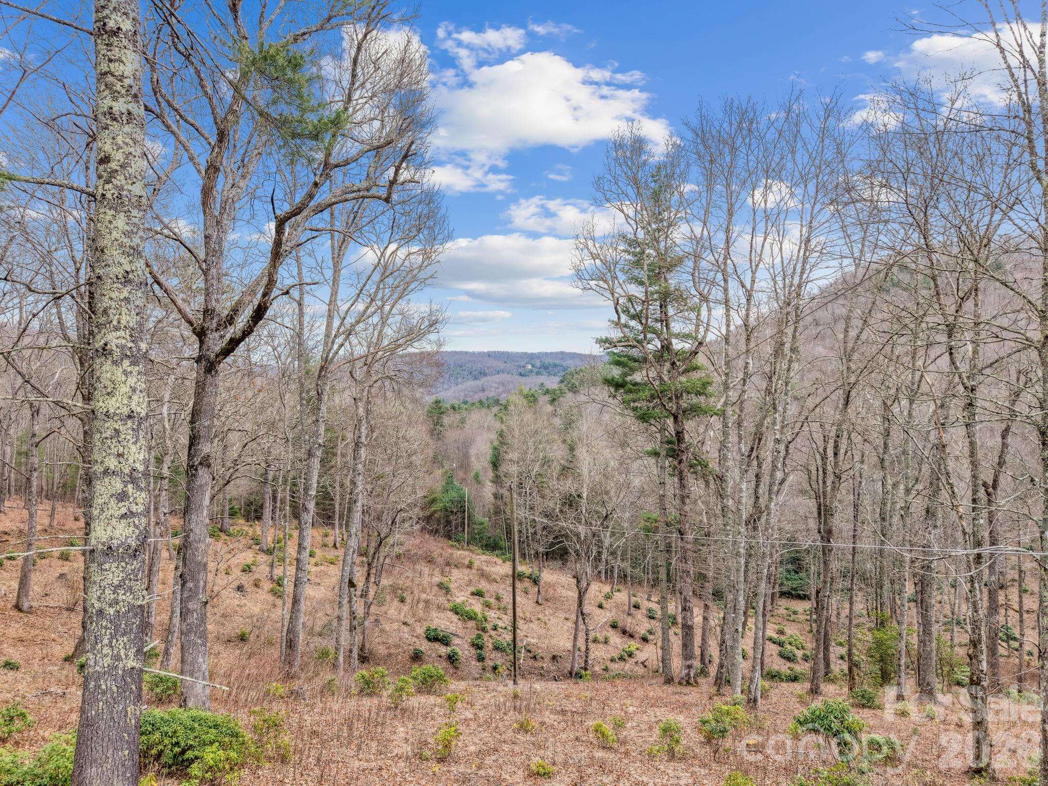 580 N Robinson Creek RD, Glenville, NC 28736