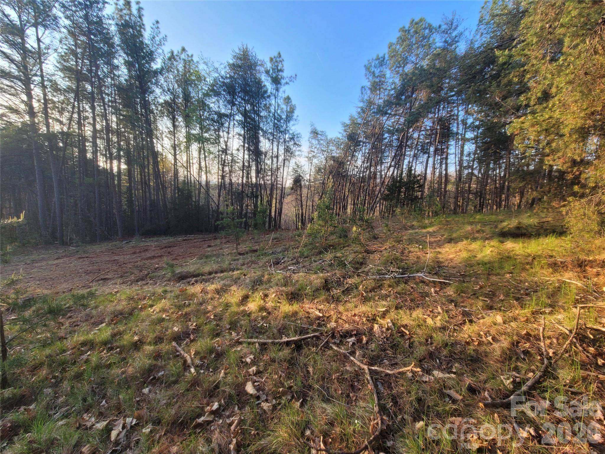 0 Cozy LN #59, Lake Lure, NC 28139