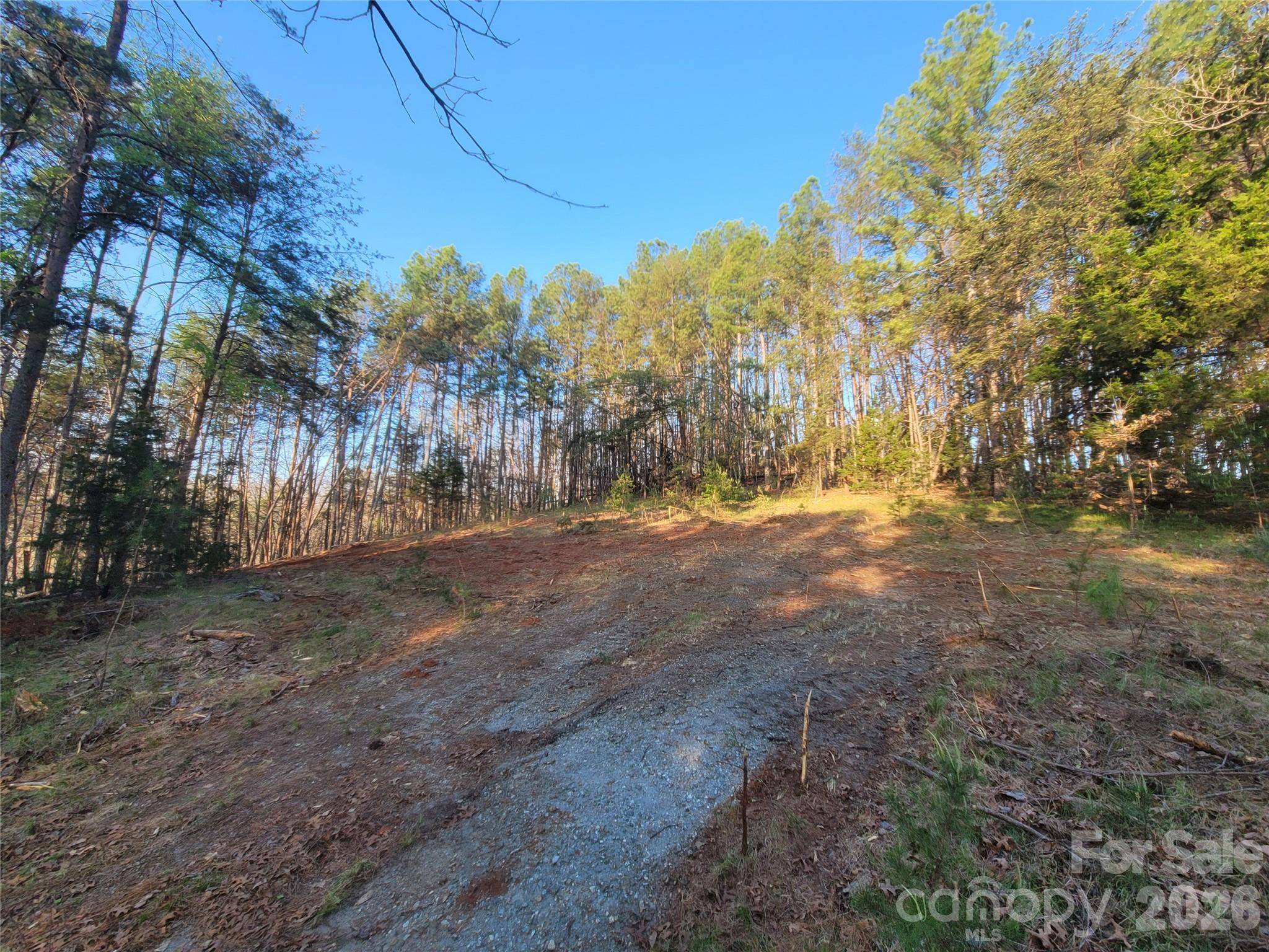 0 Cozy LN #59, Lake Lure, NC 28139