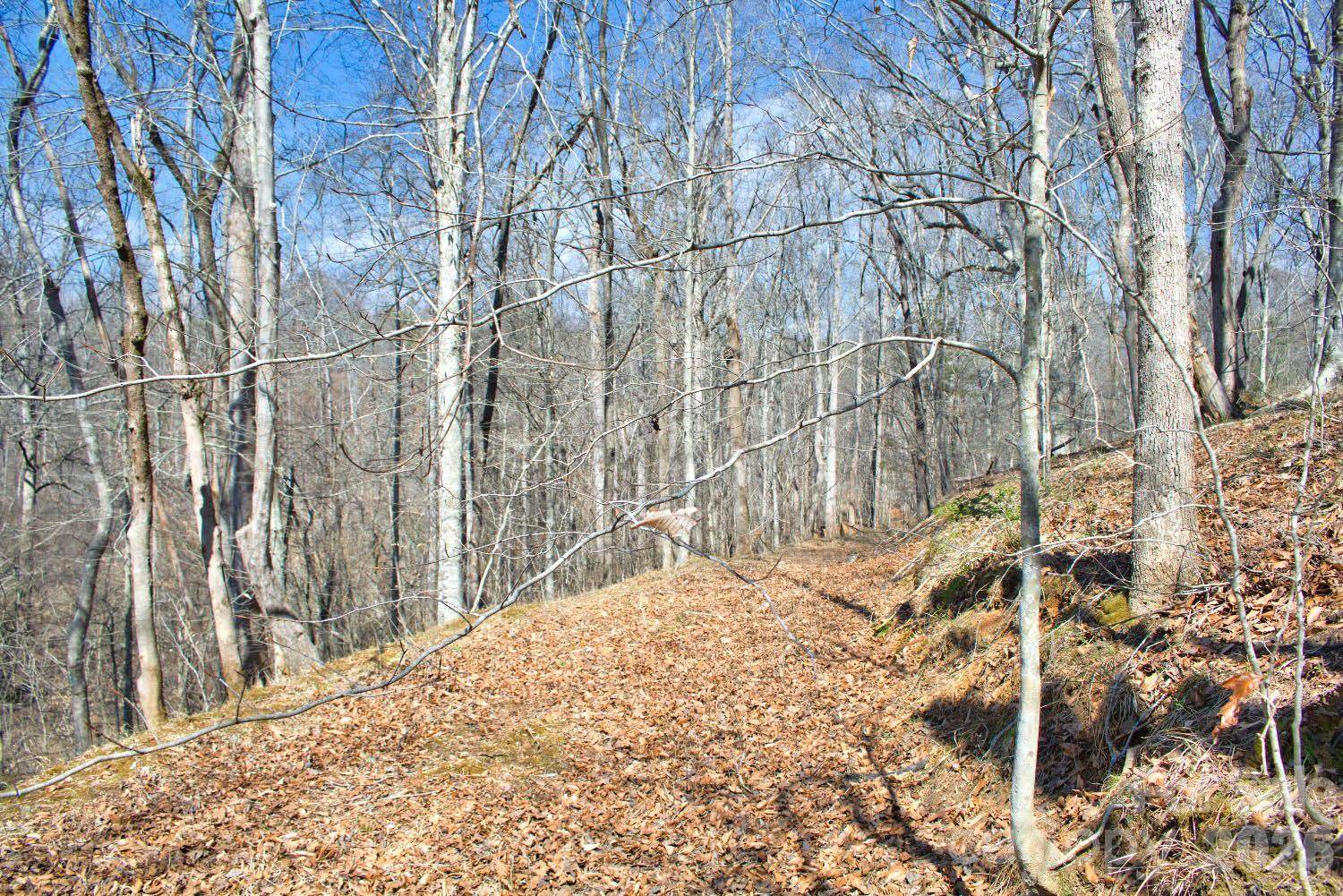 0 Cross Creek DR #143, Rutherfordton, NC 28139