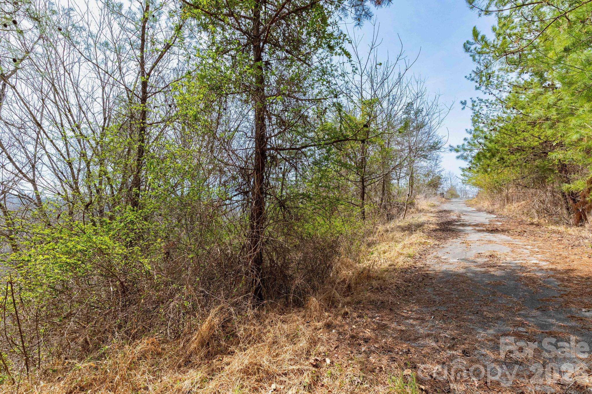 00 Crist View DR #Lot 12, Marshall, NC 28753