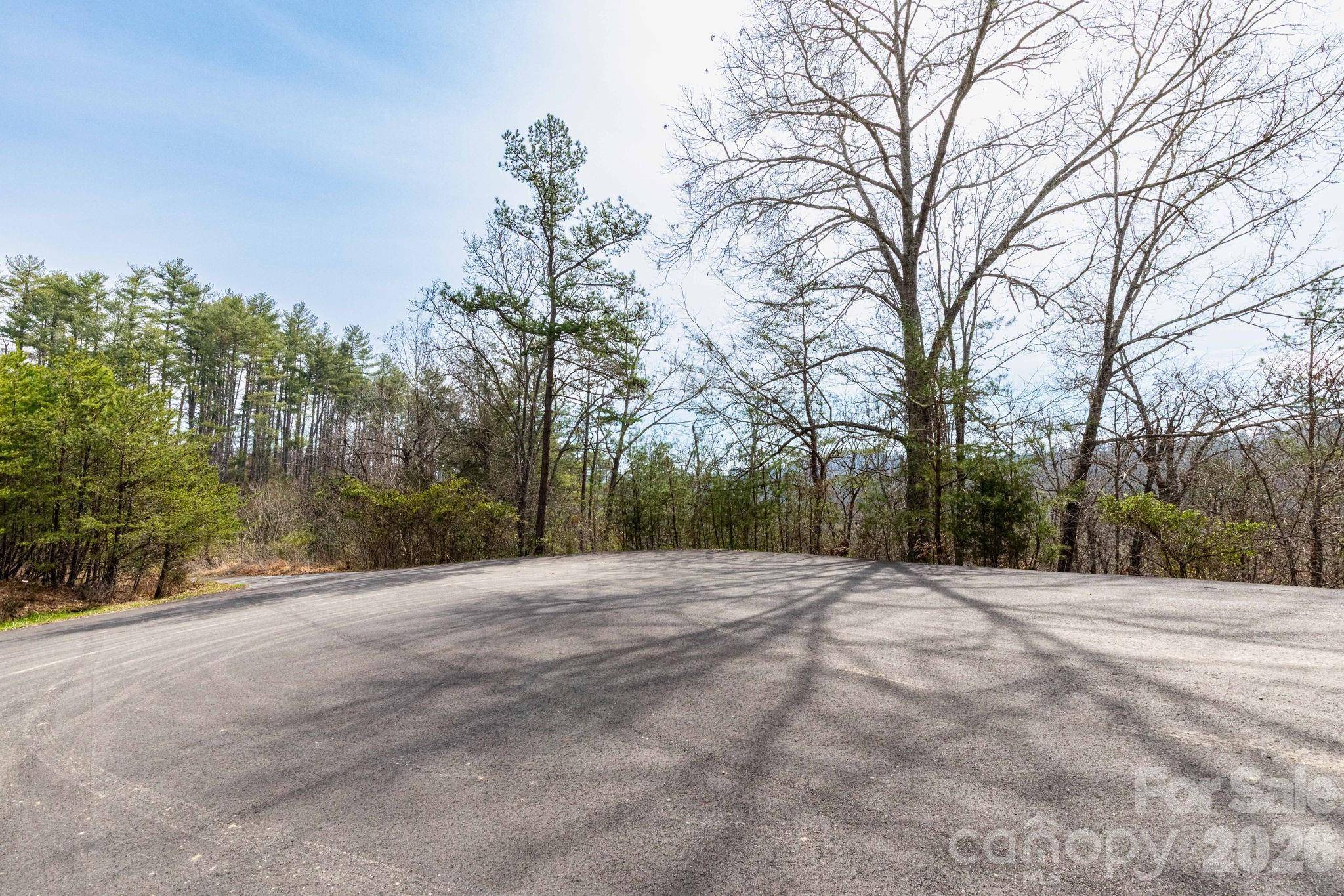00 Crist View DR #Lot 12, Marshall, NC 28753