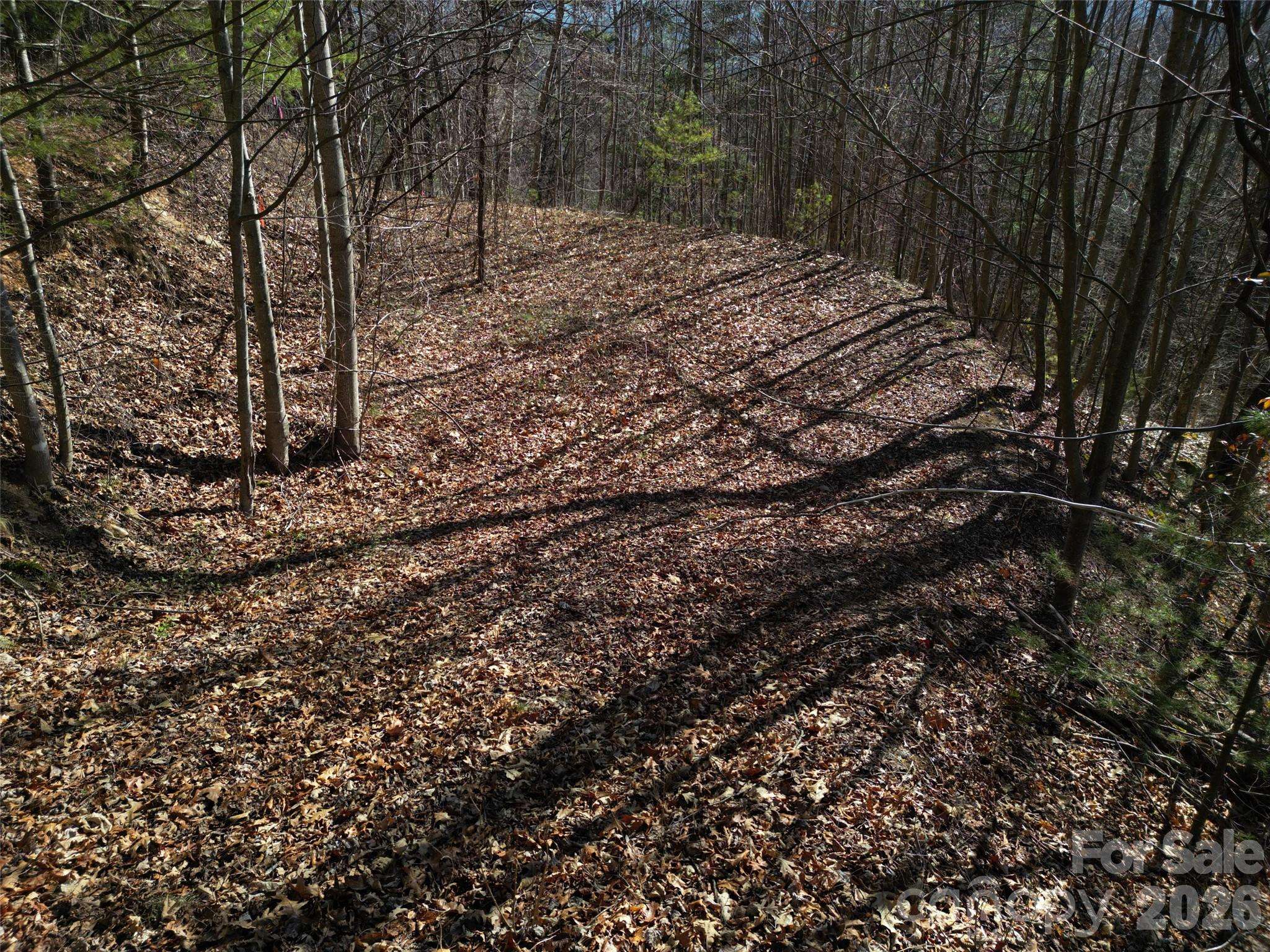1165 Scenic CIR, Waynesville, NC 28786